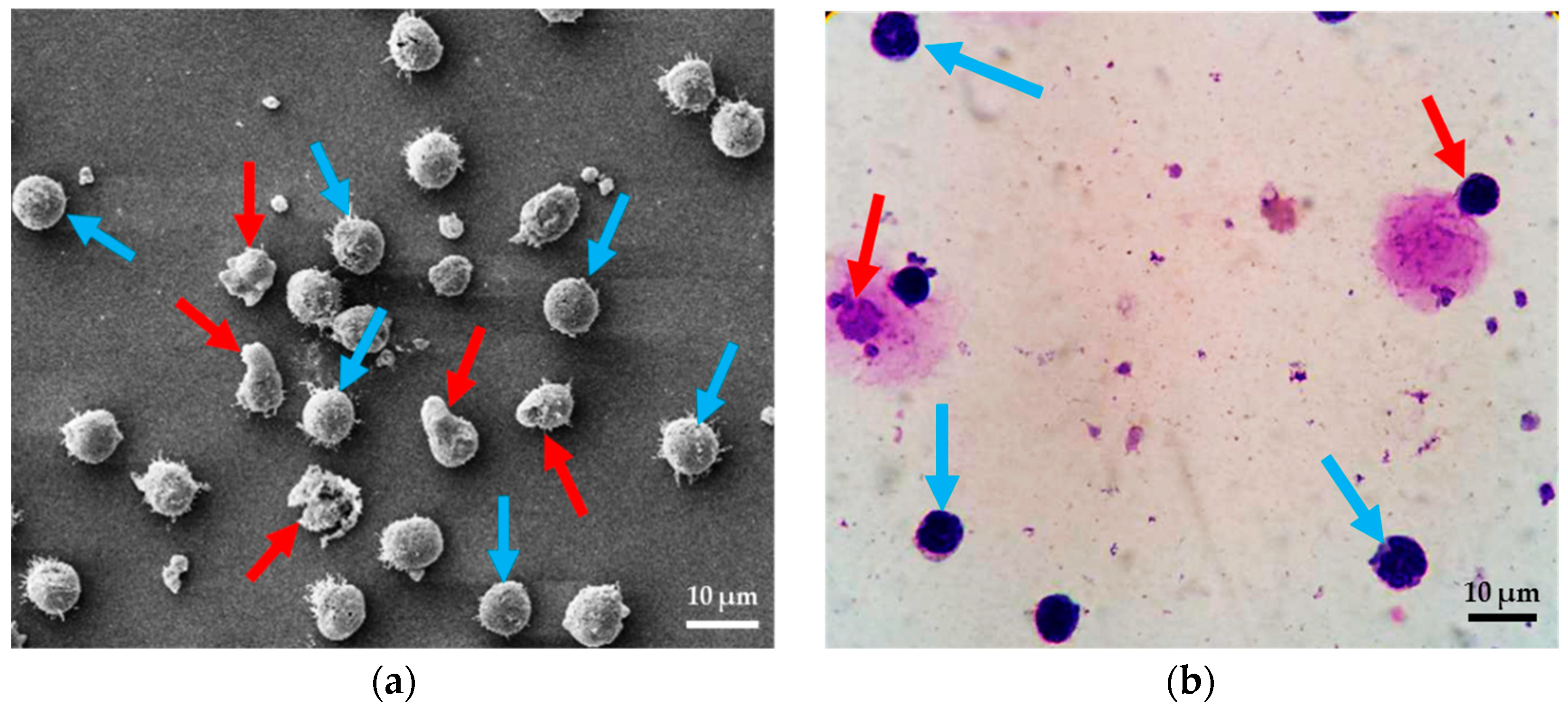 Micromachines 10 00772 g002