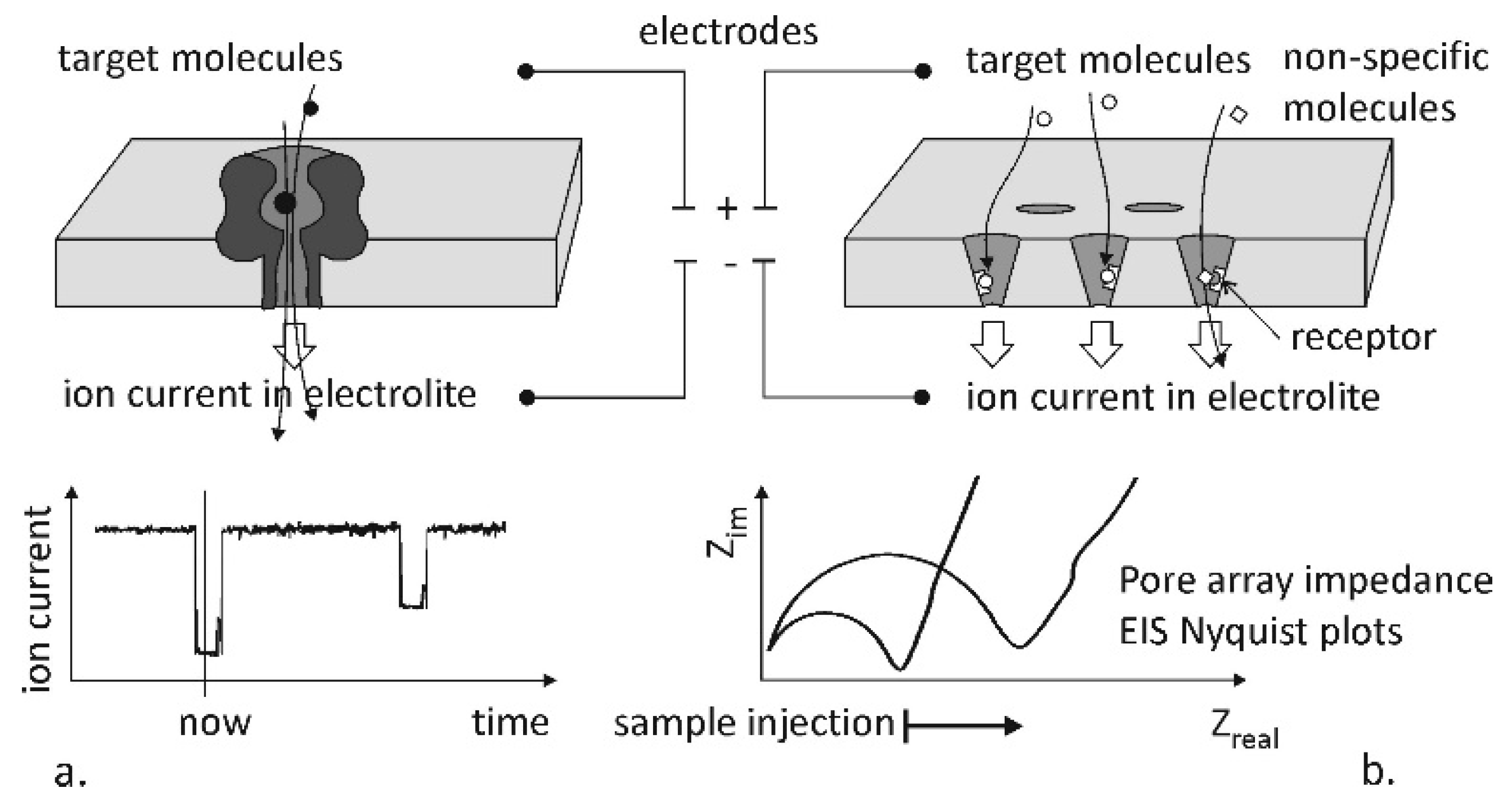 Micromachines 10 00774 g001