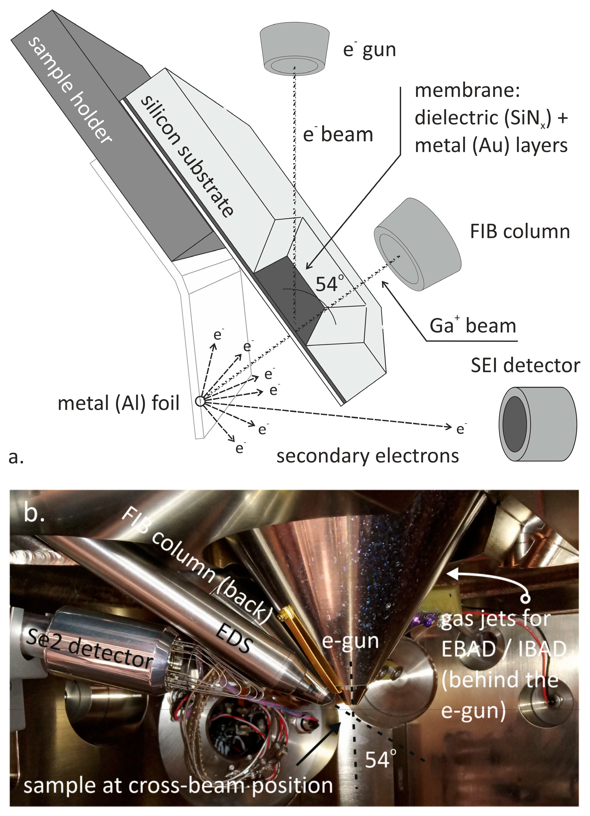 Micromachines 10 00774 g002