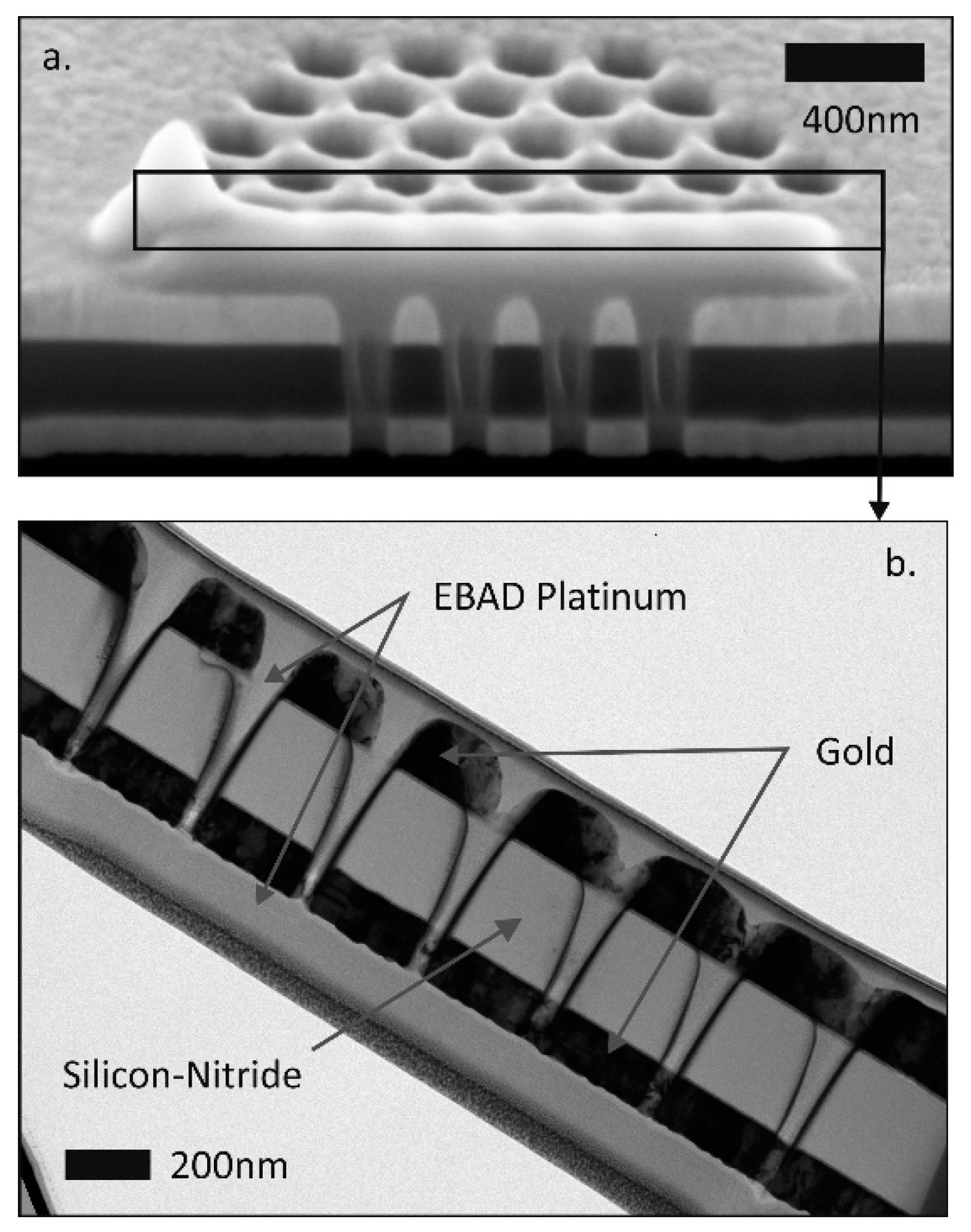 Micromachines 10 00774 g003