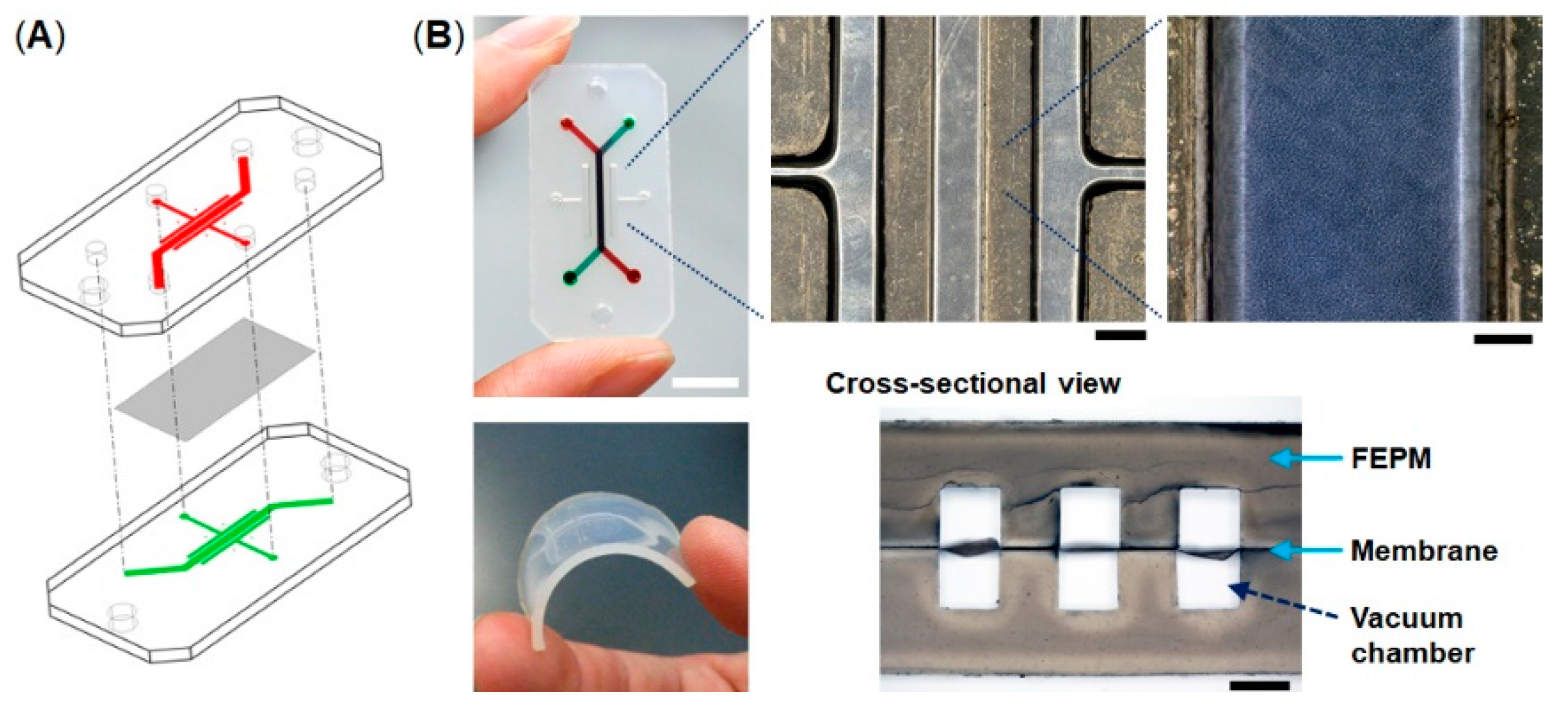 Micromachines 10 00793 g001
