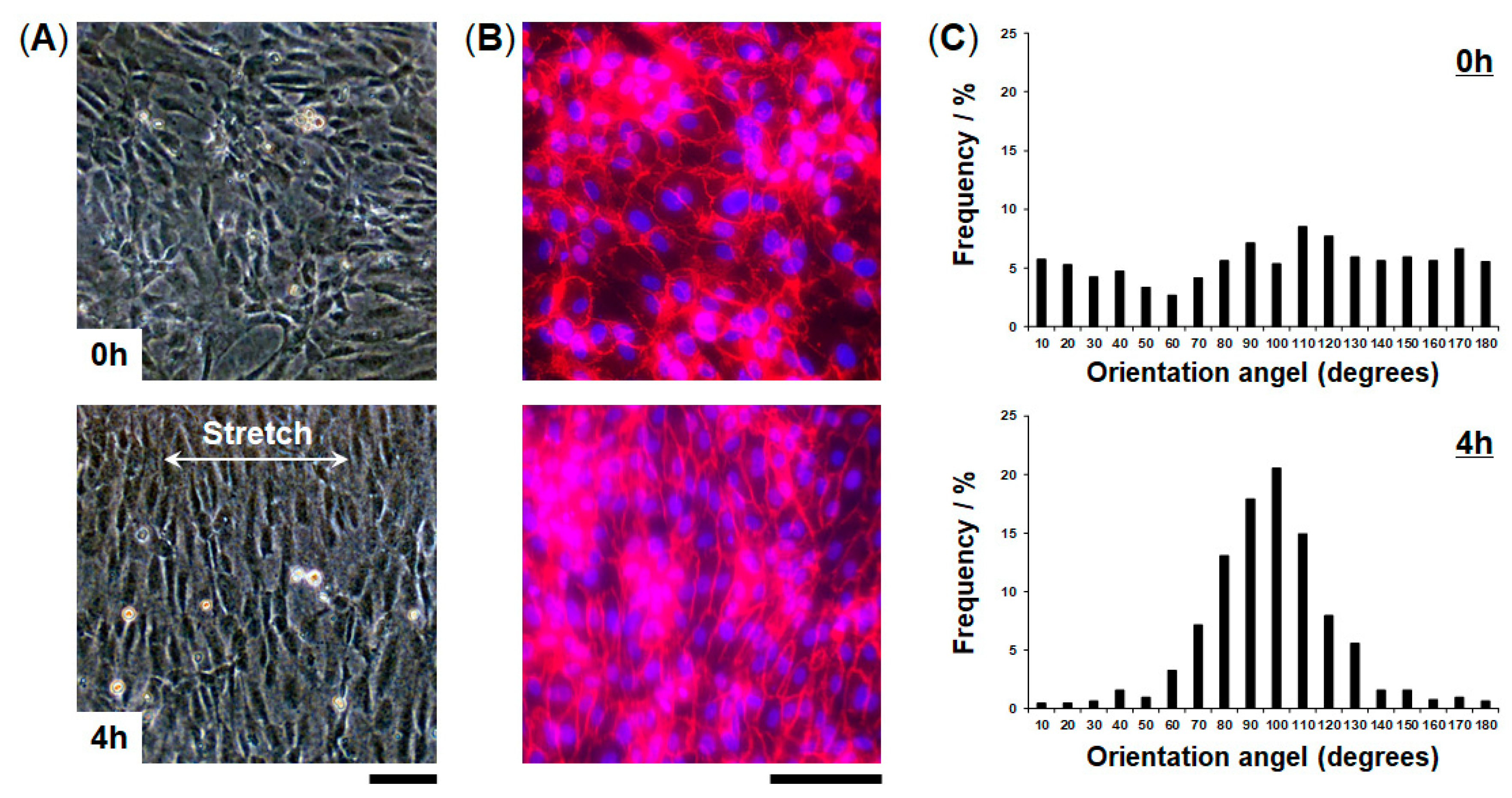 Micromachines 10 00793 g005