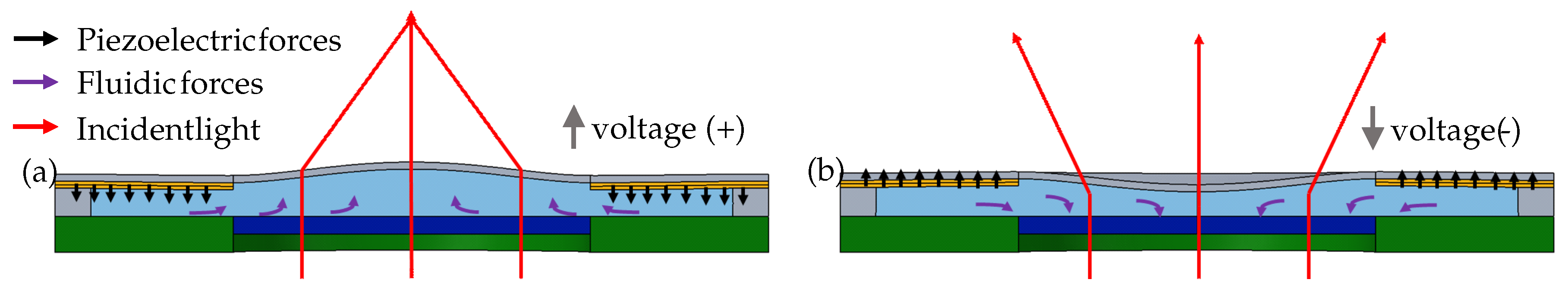 Micromachines 10 00797 g002
