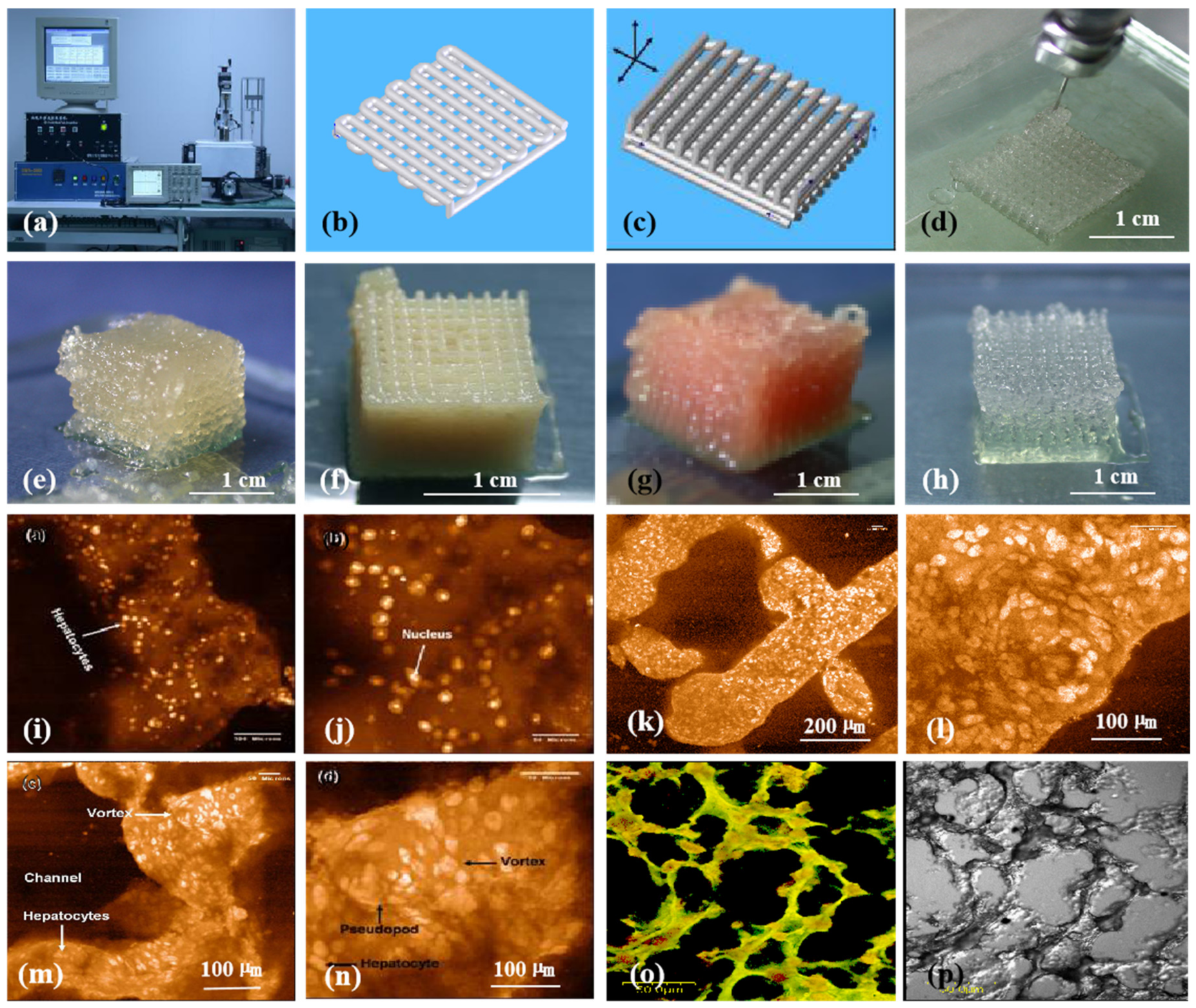 Micromachines 10 00814 g006