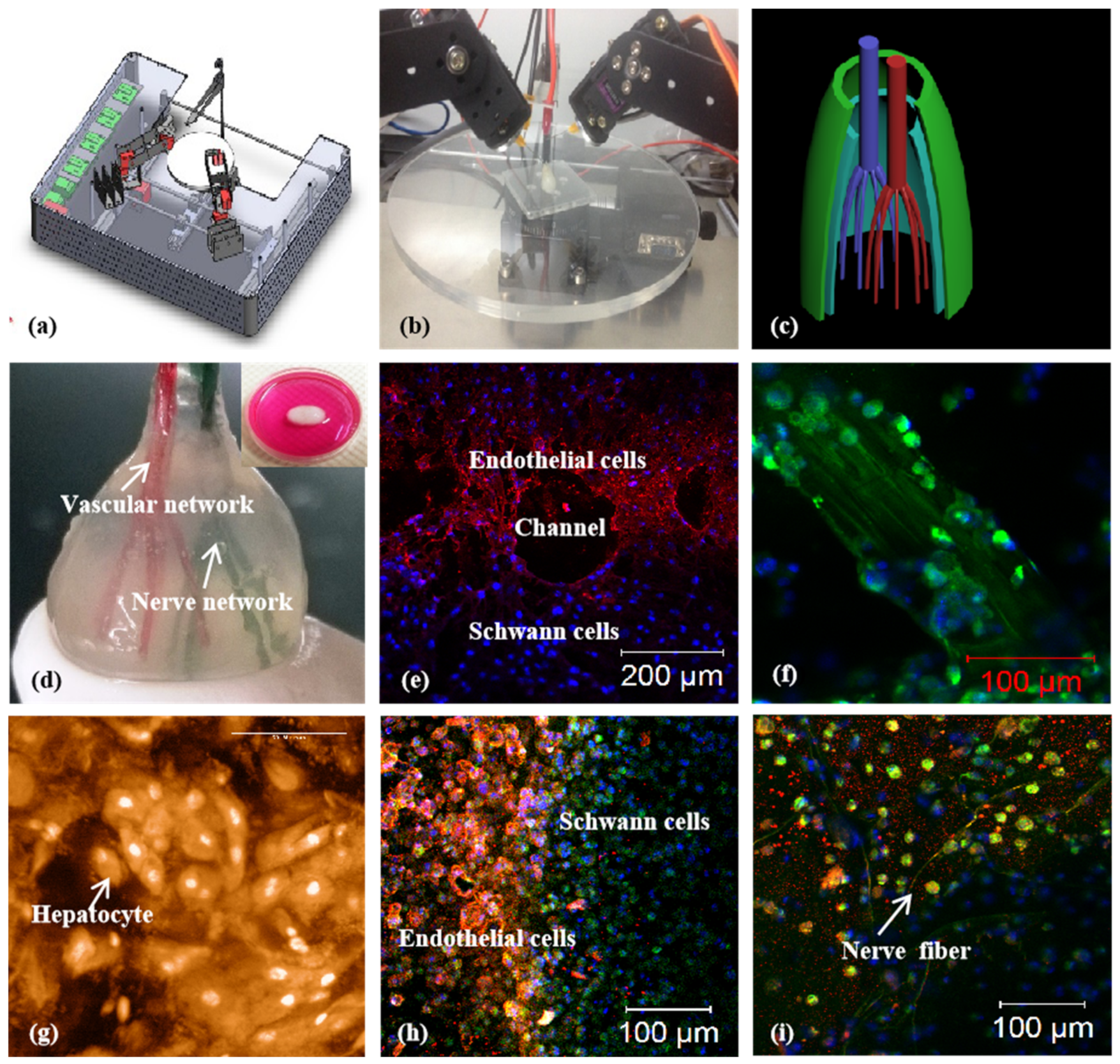 Micromachines 10 00814 g009