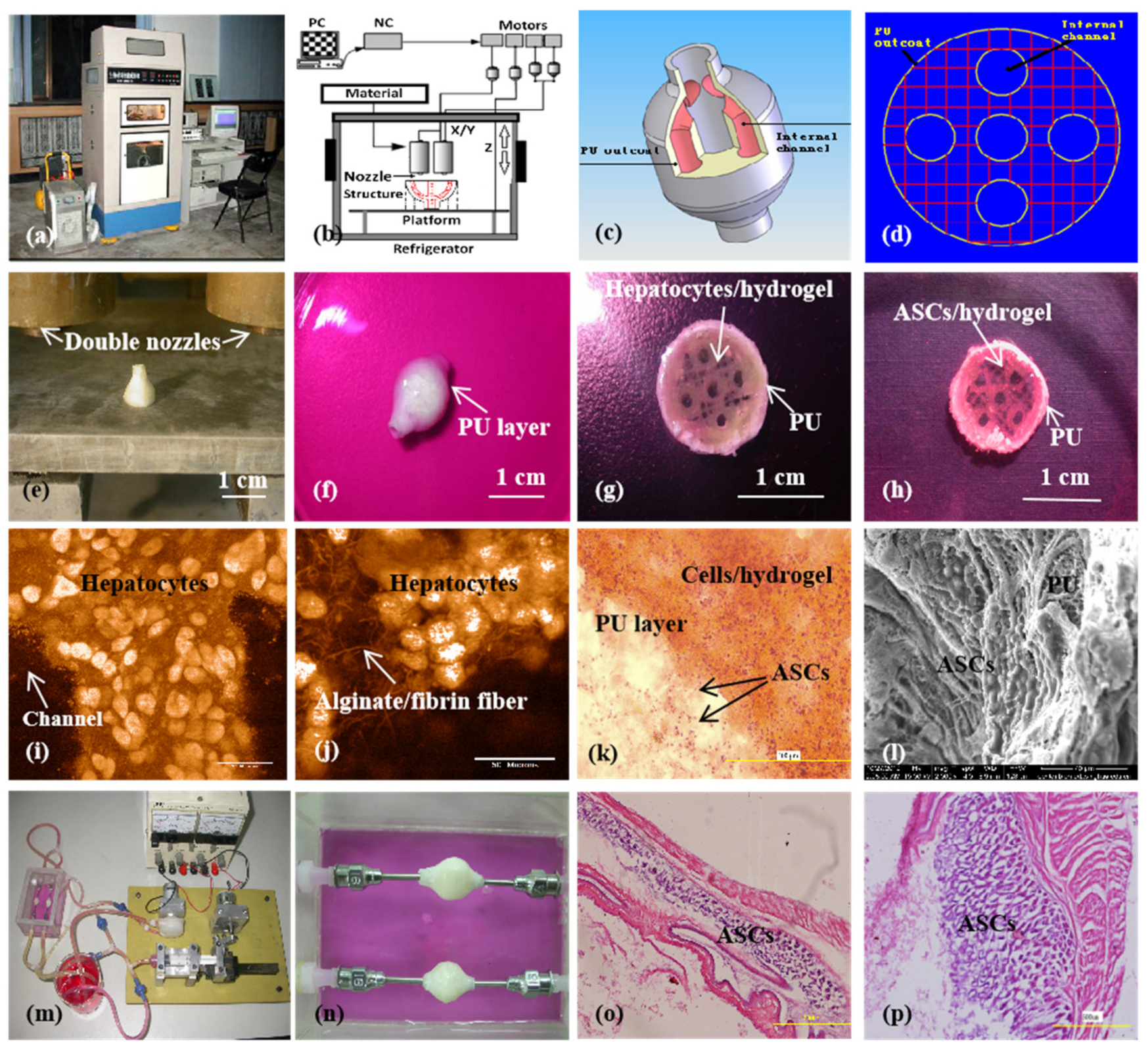 Micromachines 10 00814 g010