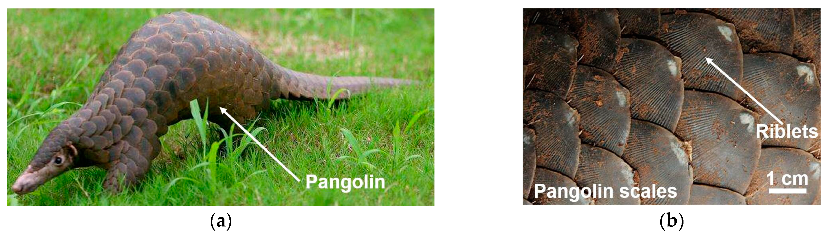 Micromachines 10 00816 g001