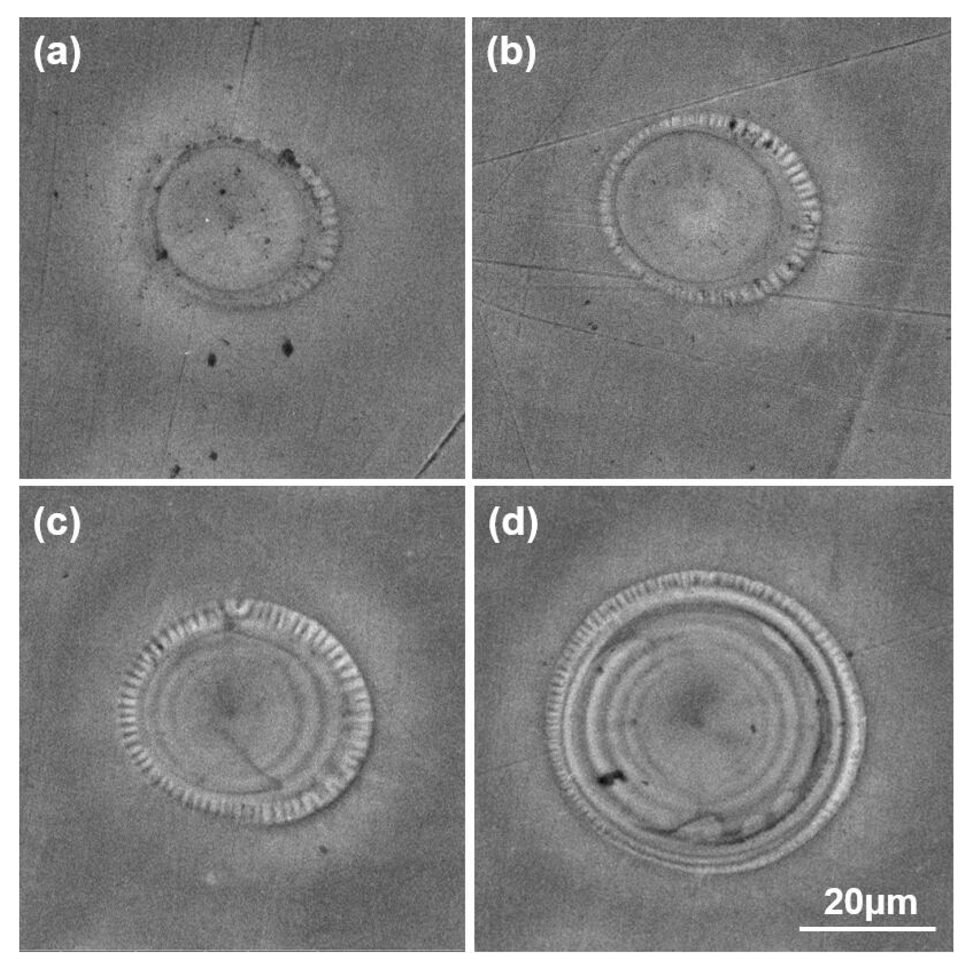 Micromachines 10 00816 g004