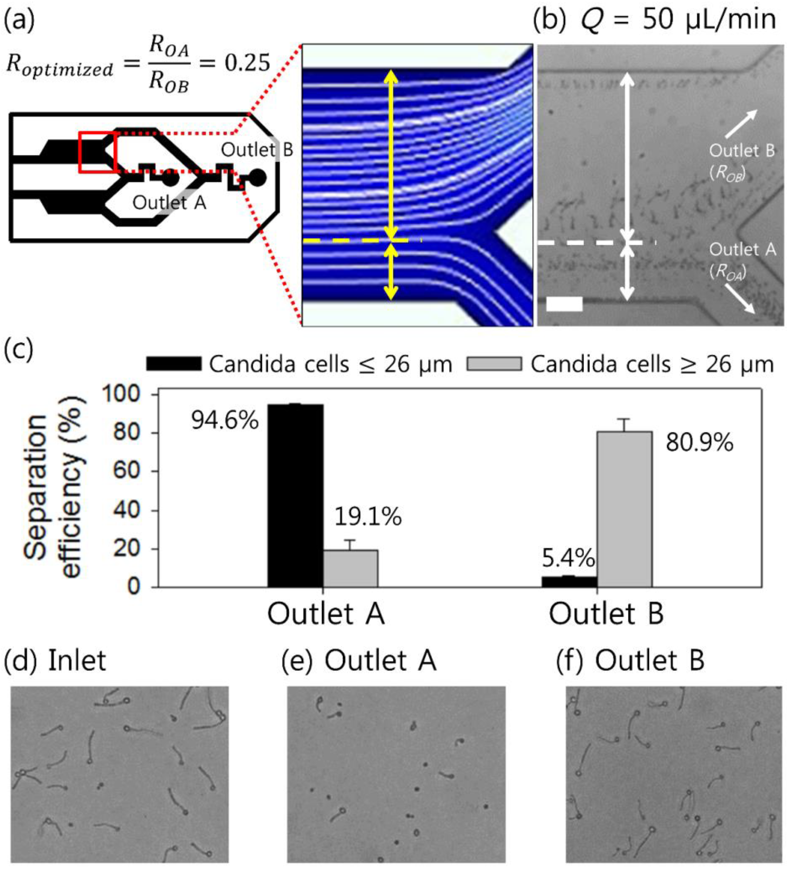 Micromachines 10 00817 g005