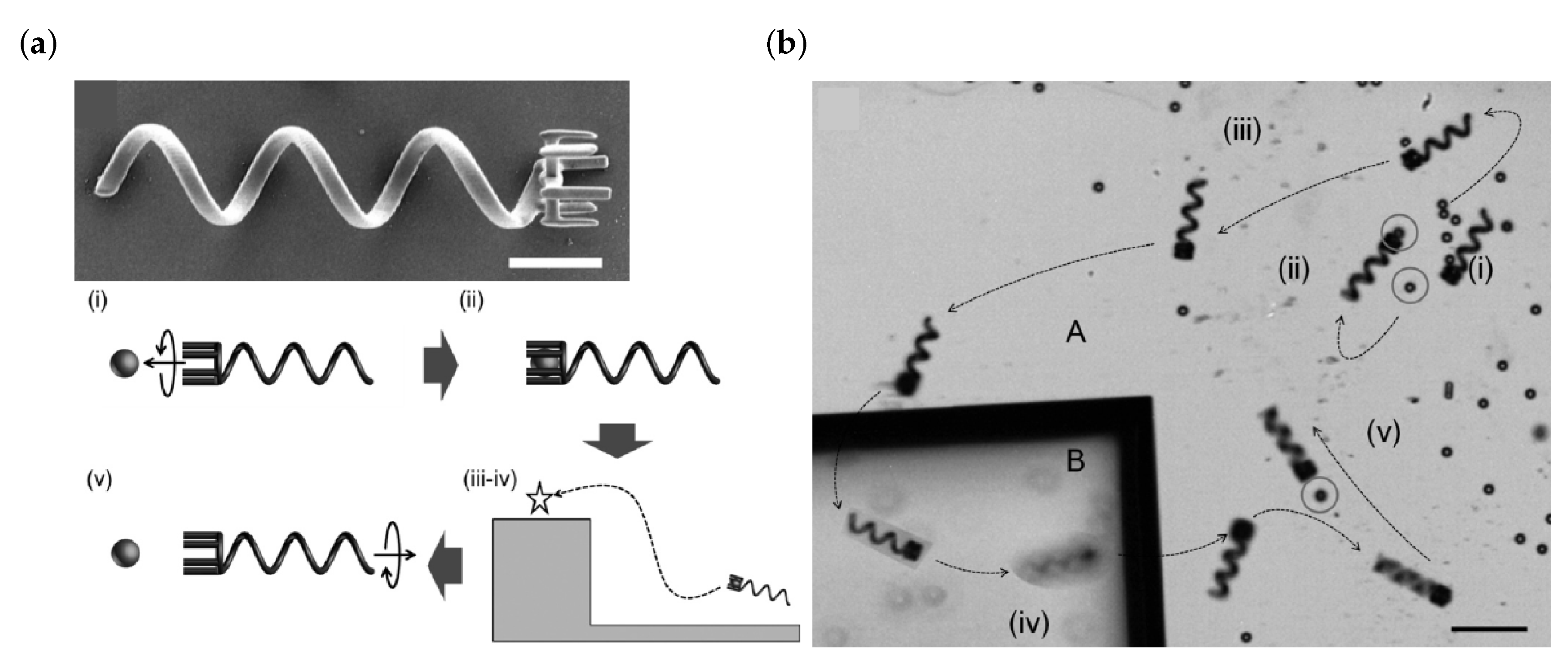 Micromachines 10 00827 g003 Micromachines 10 00827 g003