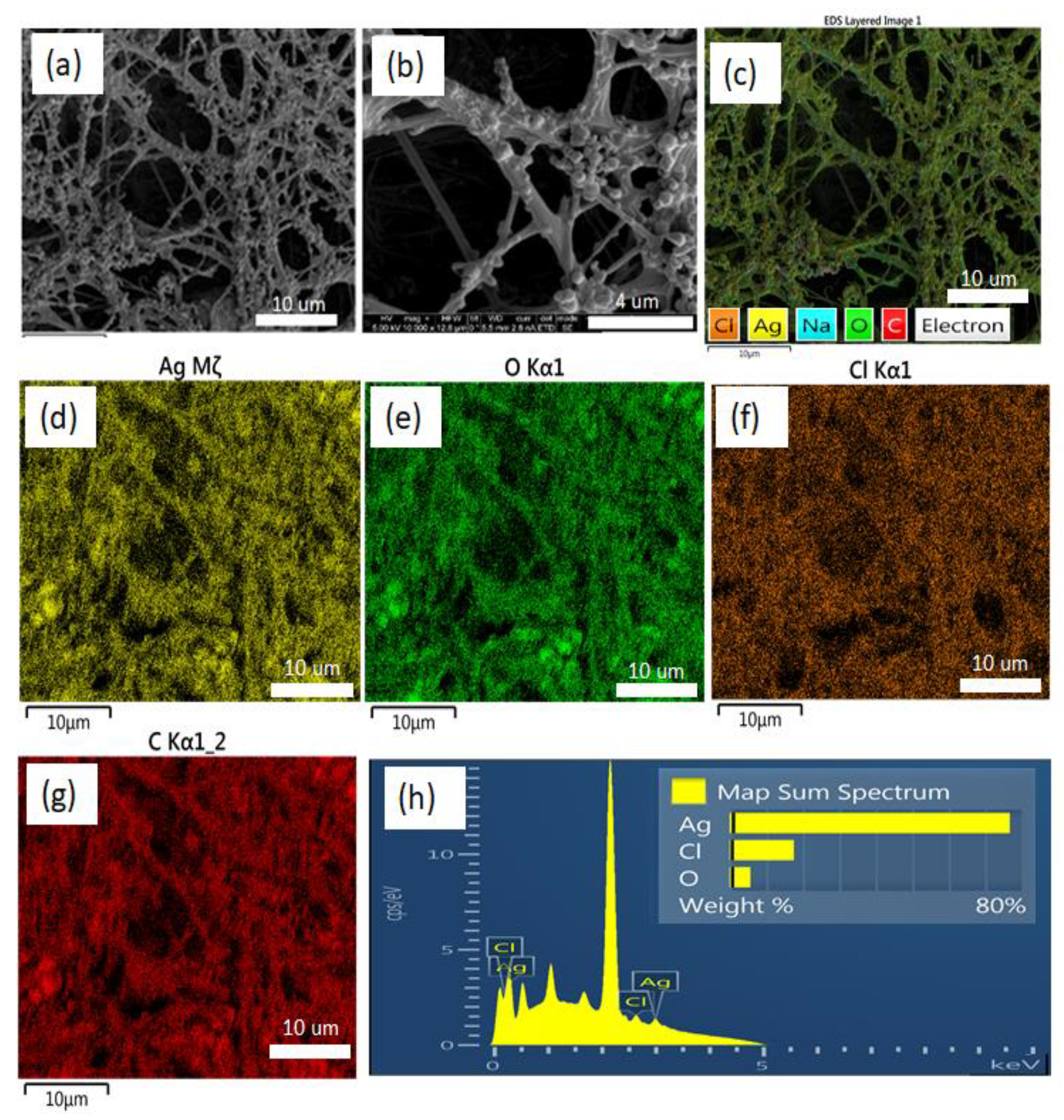 Micromachines 10 00829 g003