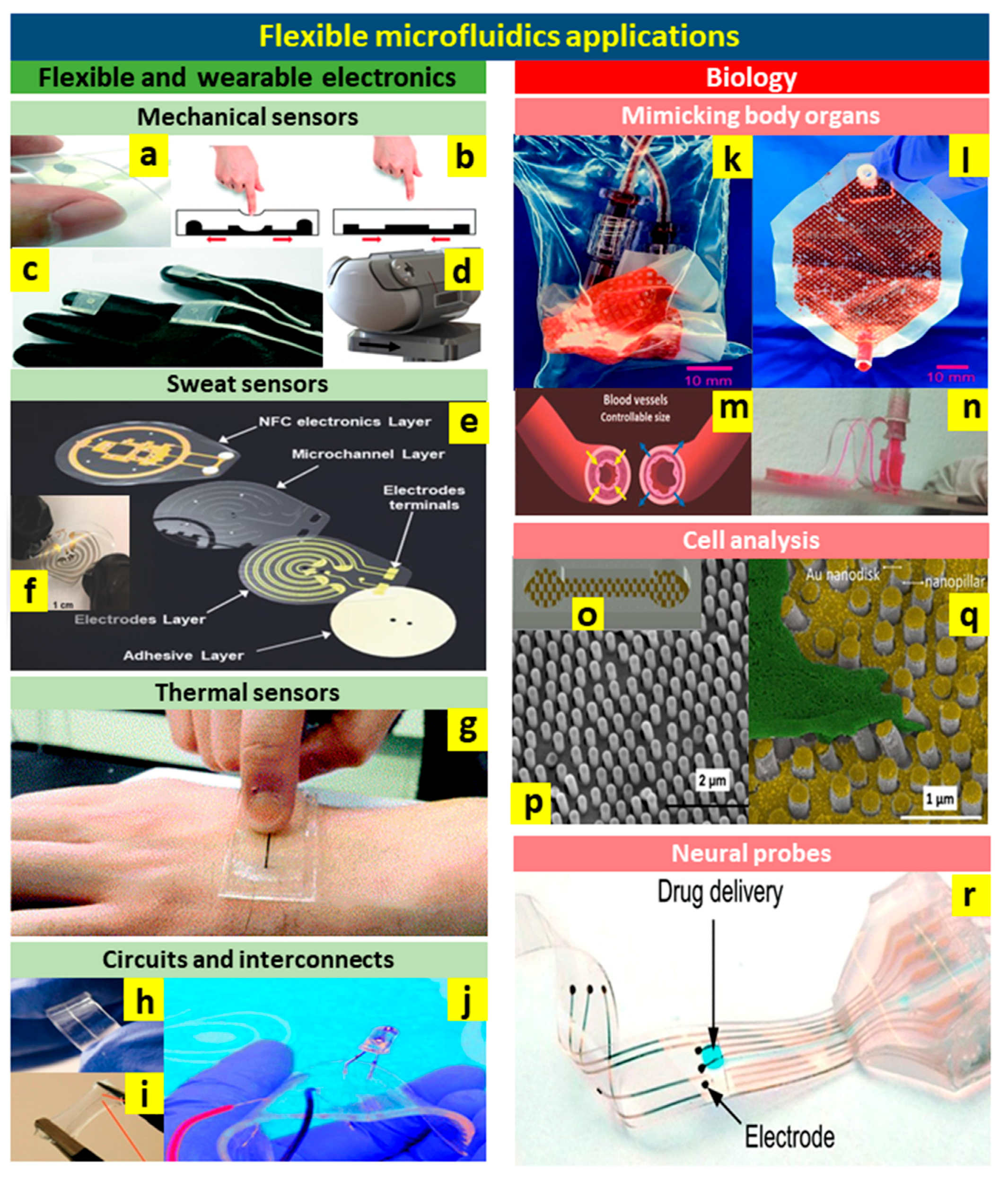 Micromachines 10 00830 g010