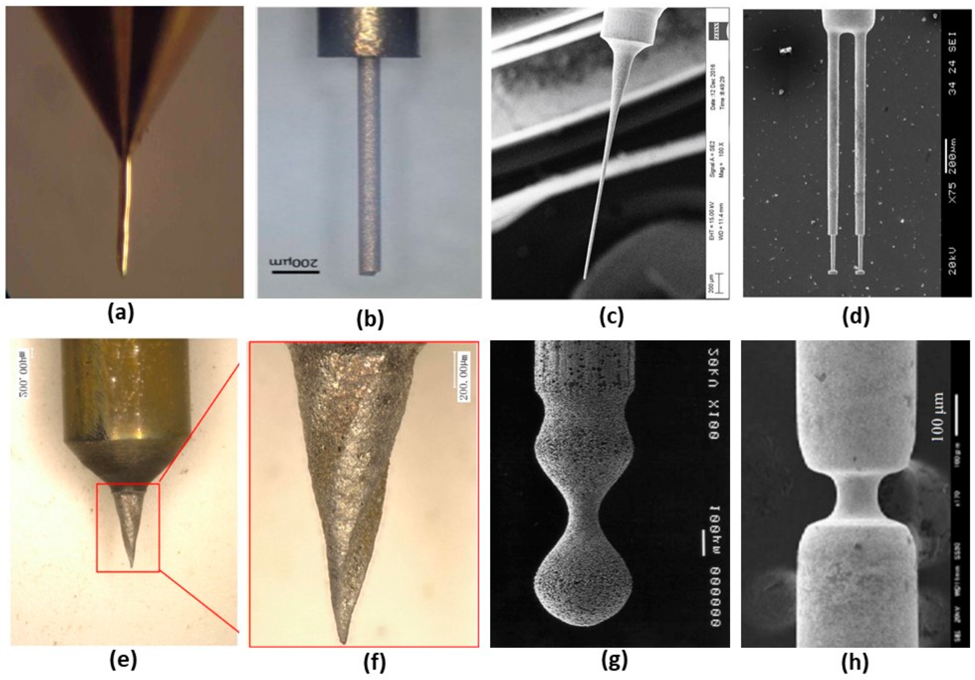 Micromachines 10 00831 g001