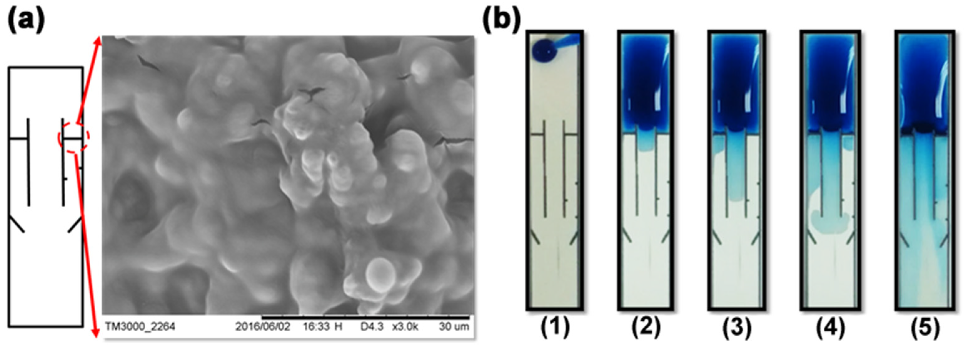 Micromachines 10 00837 g006