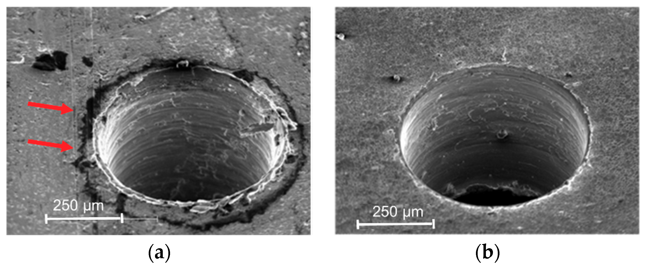 Micromachines 10 00838 g007