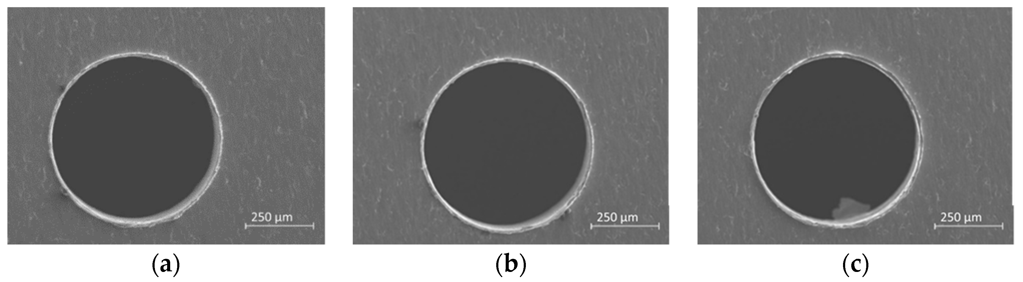 Micromachines 10 00838 g008
