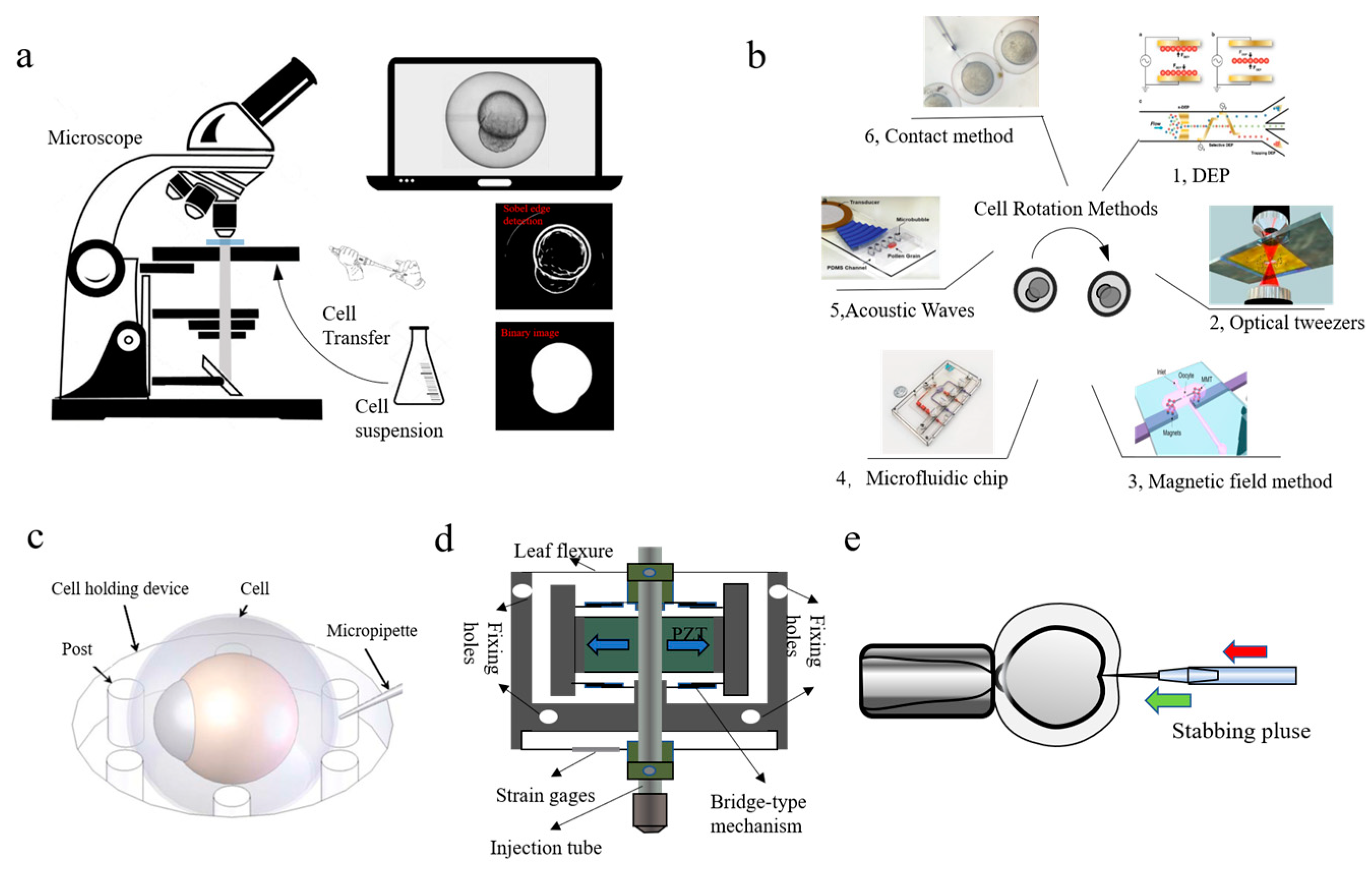 Micromachines 10 00843 g002