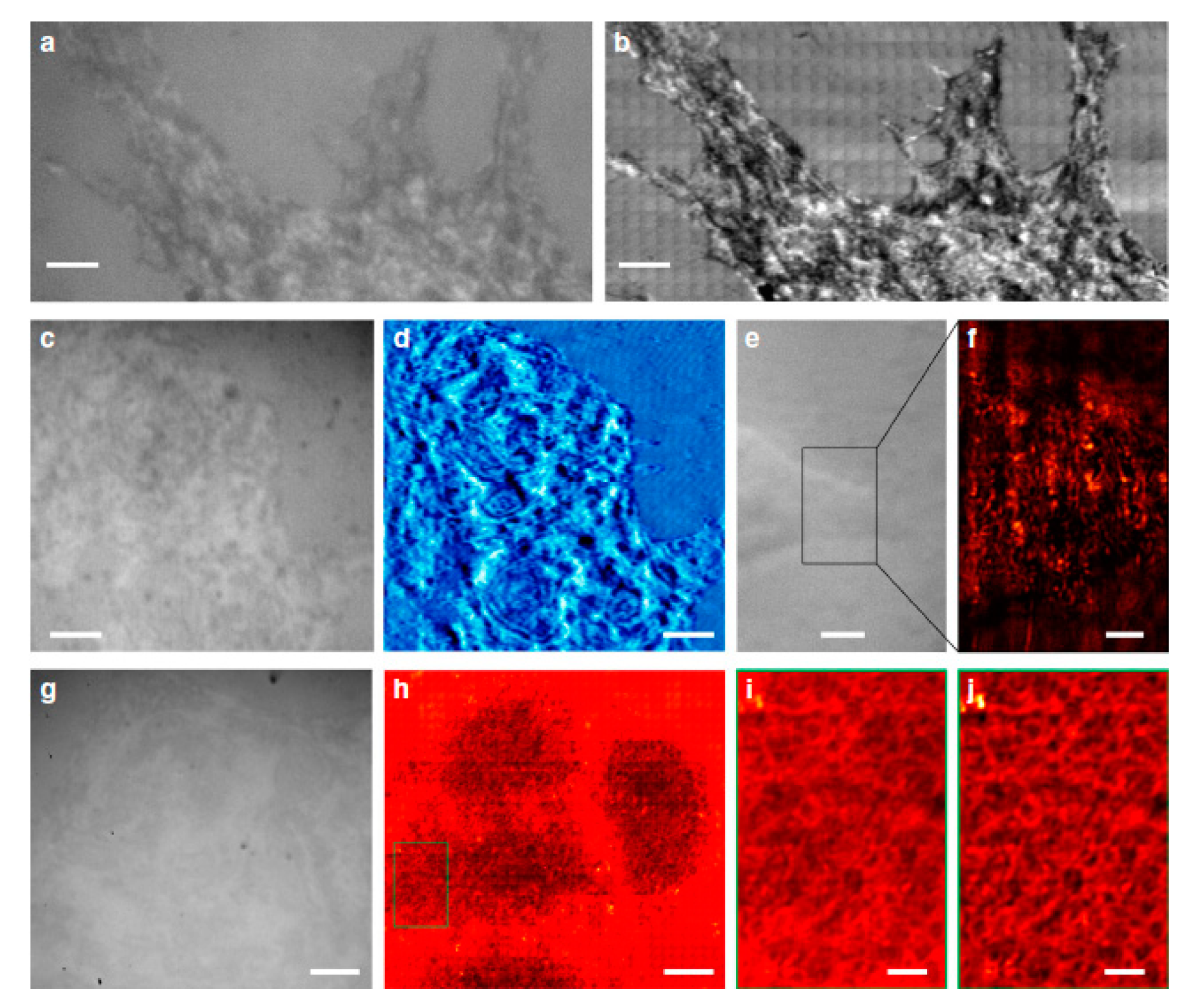Micromachines 10 00843 g008