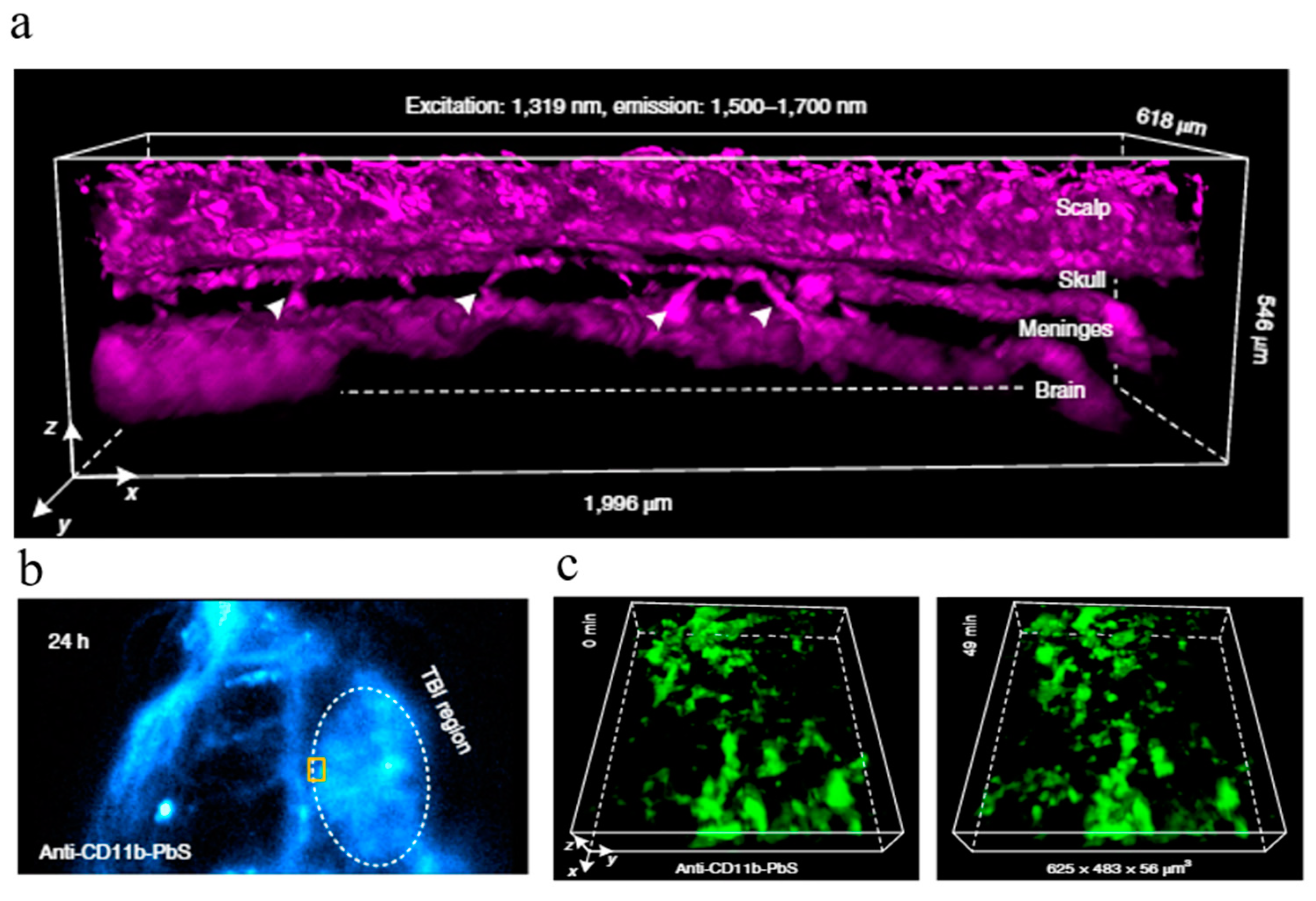 Micromachines 10 00843 g009