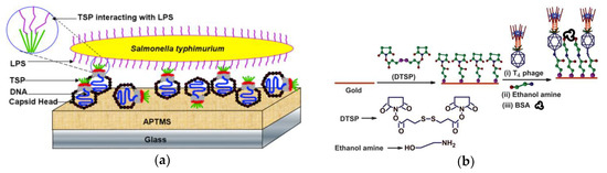 Micromachines 10 00855 g001