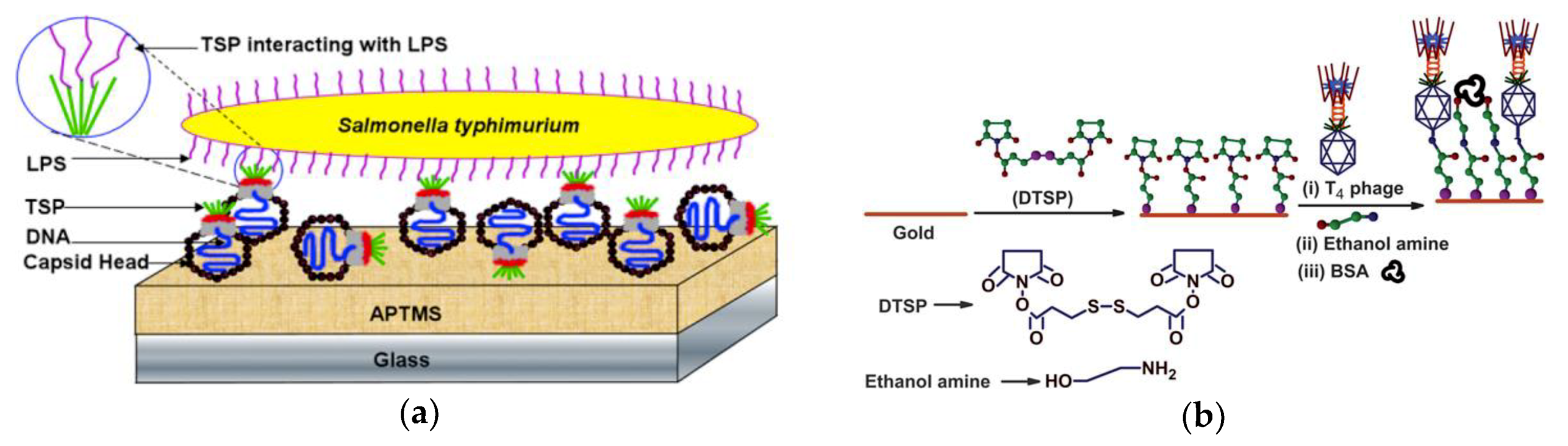 Micromachines 10 00855 g001