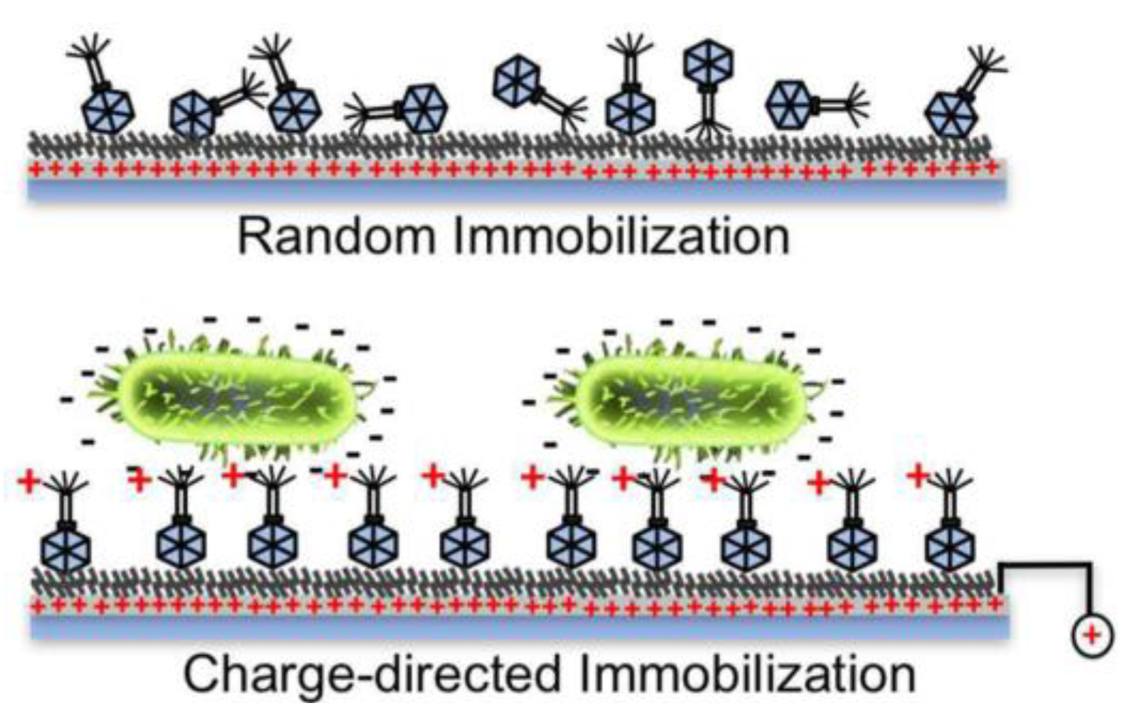 Micromachines 10 00855 g002