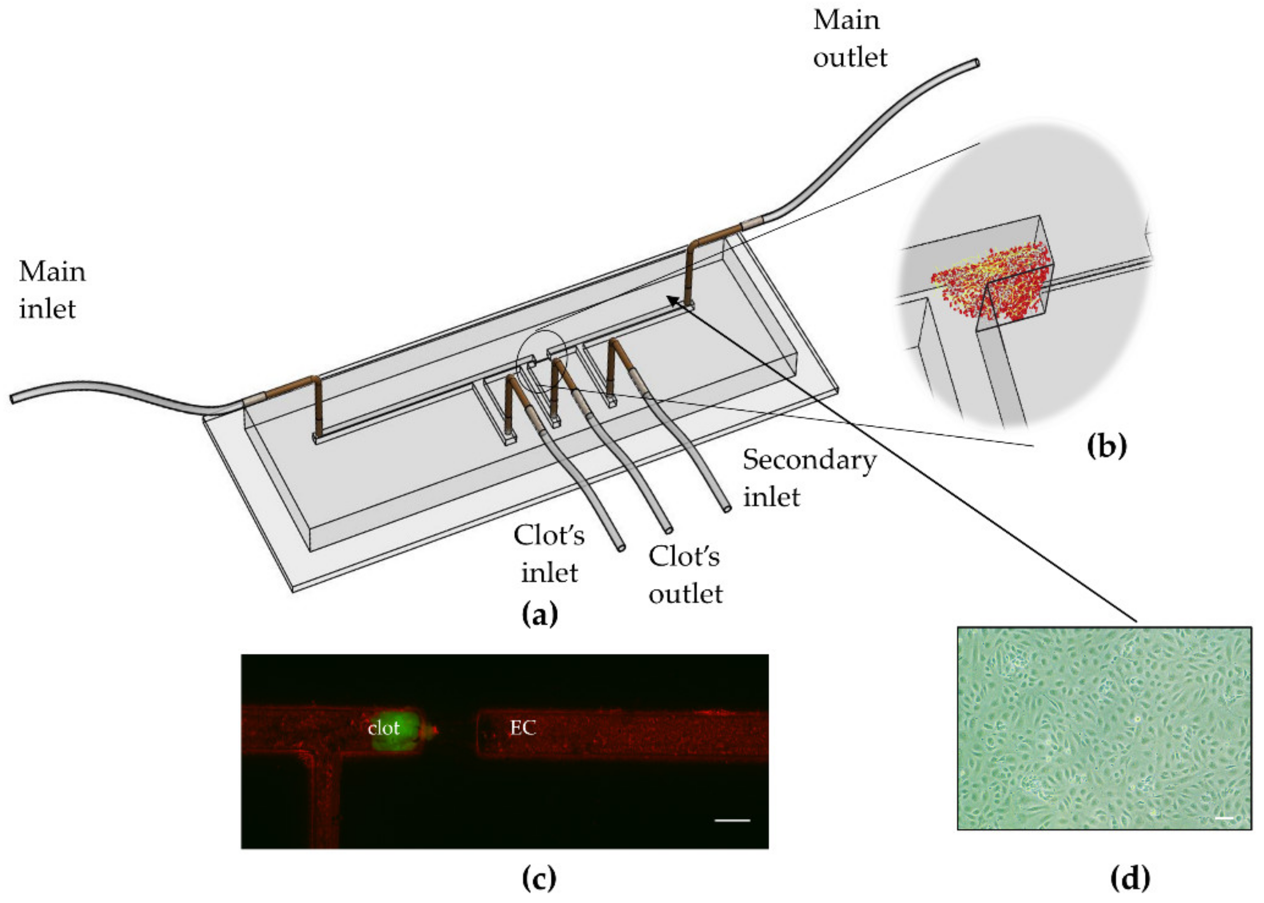 Micromachines 10 00857 g001