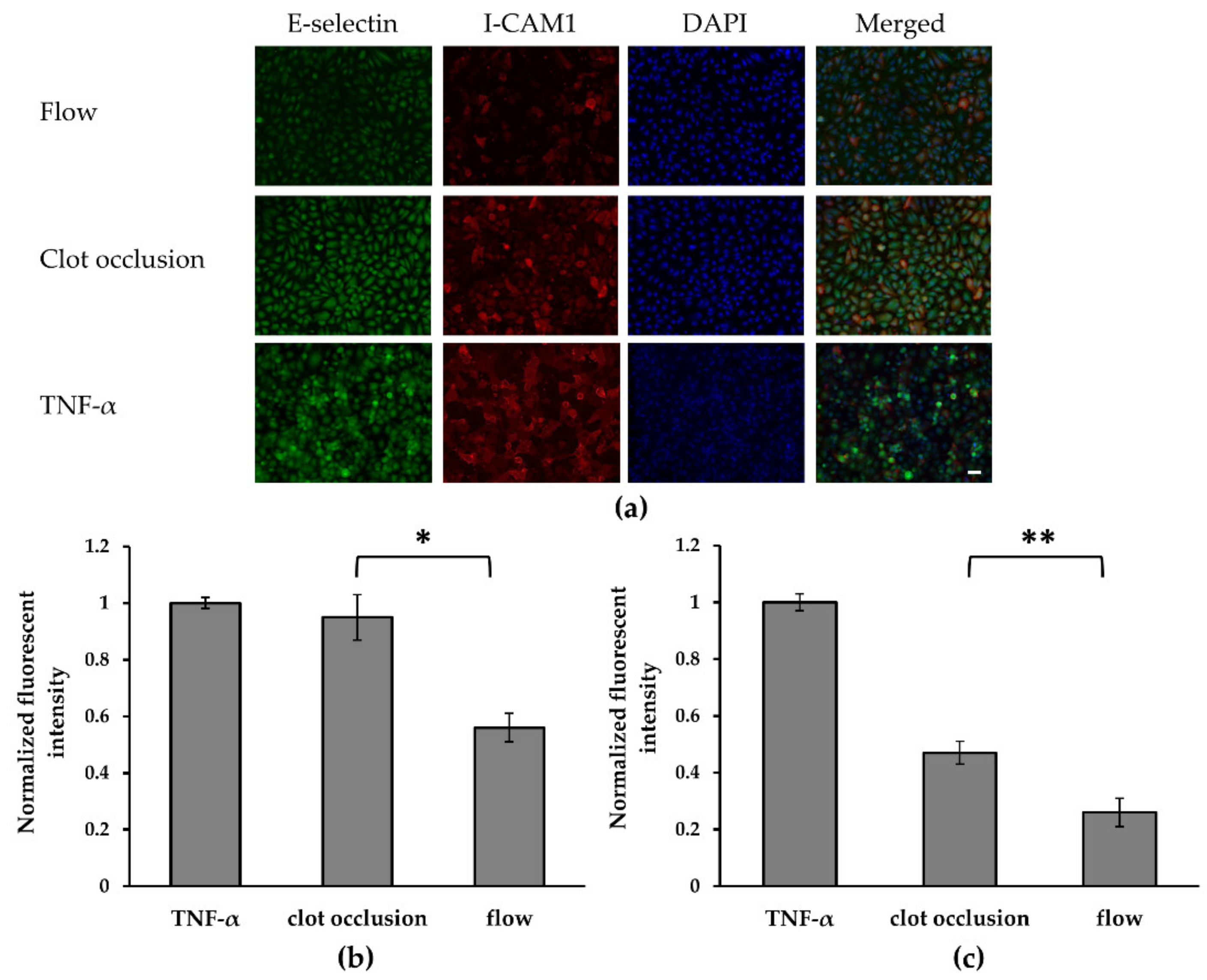Micromachines 10 00857 g002
