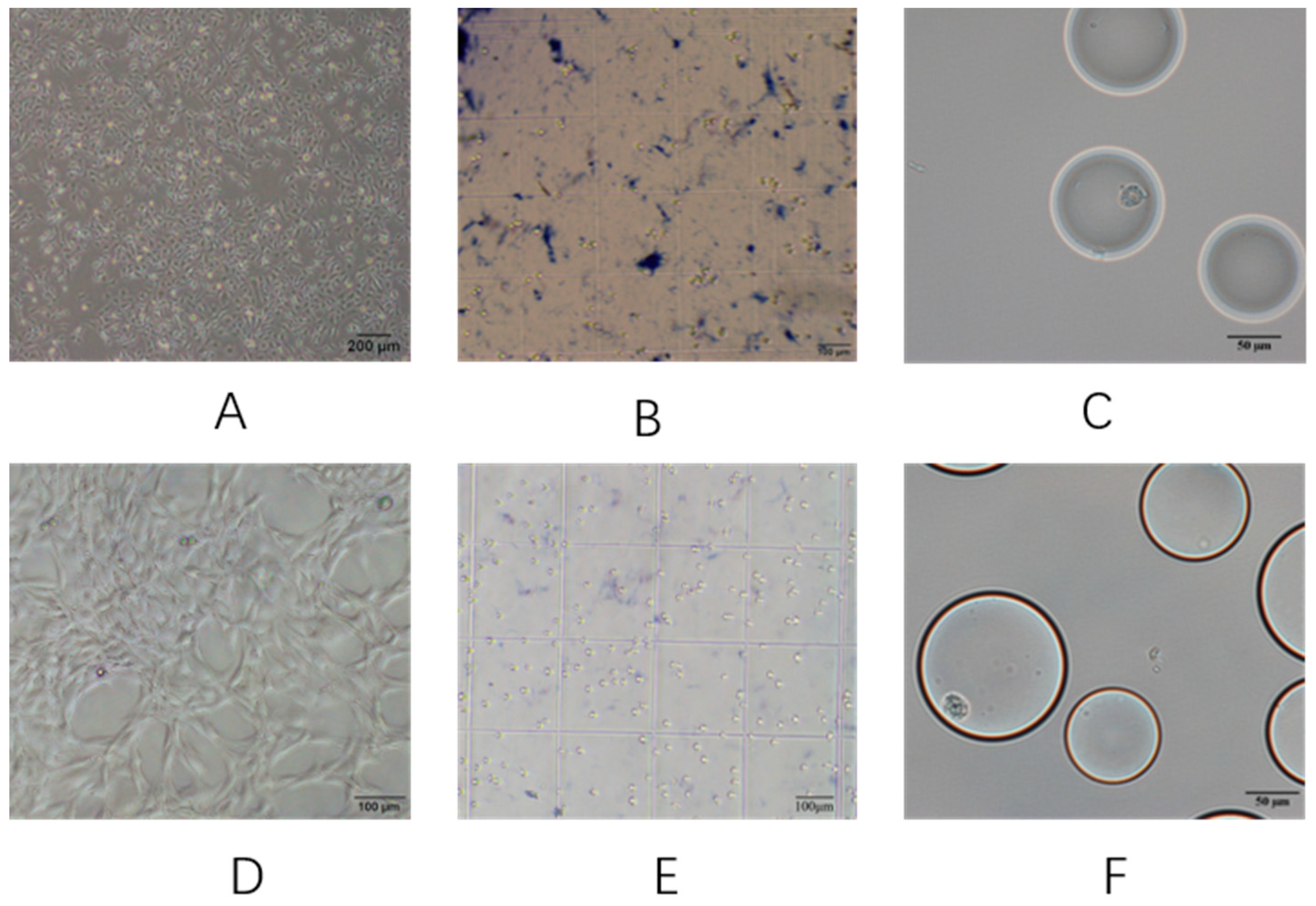Micromachines 10 00871 g002
