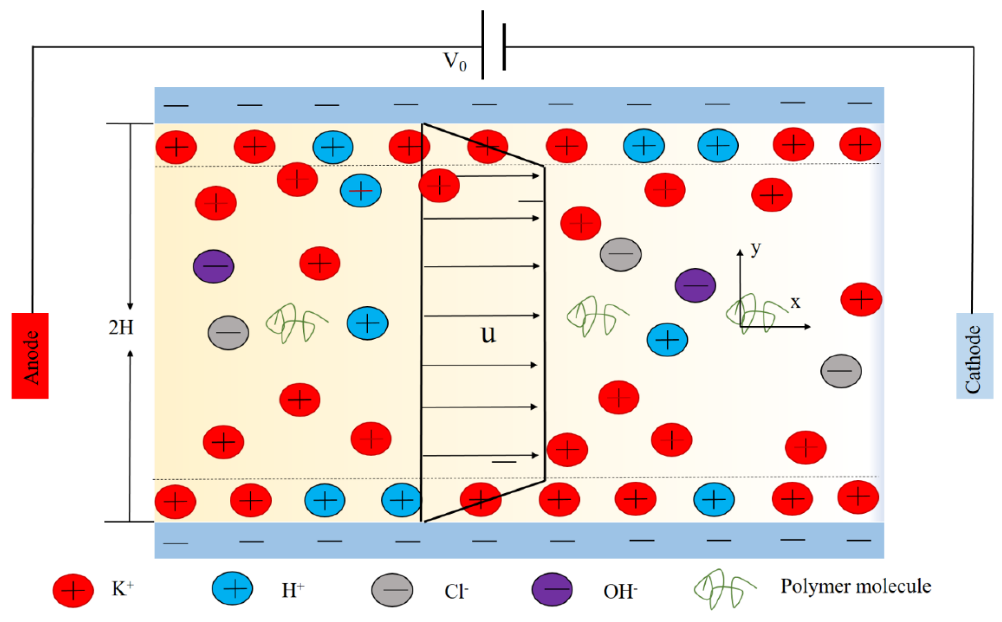 Micromachines 10 00881 g001