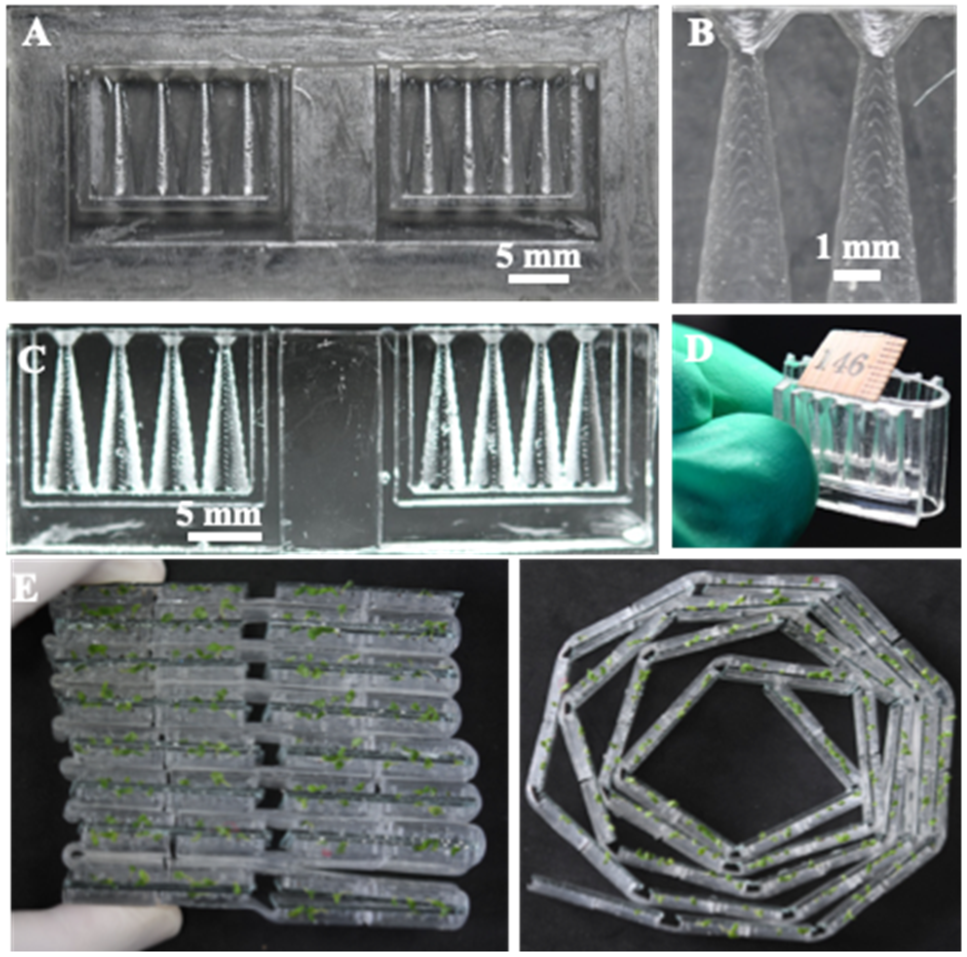 Micromachines 10 00884 g002