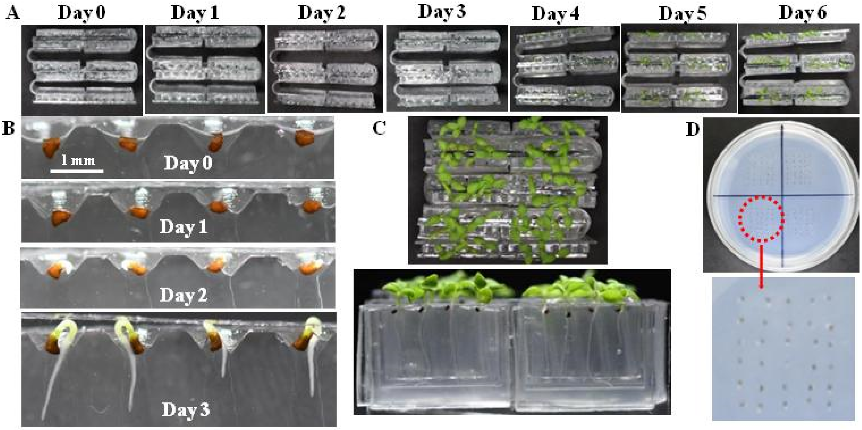 Micromachines 10 00884 g004
