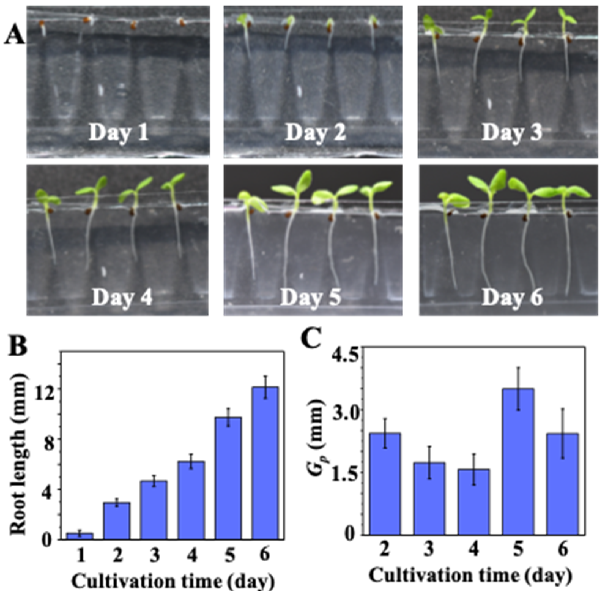 Micromachines 10 00884 g005
