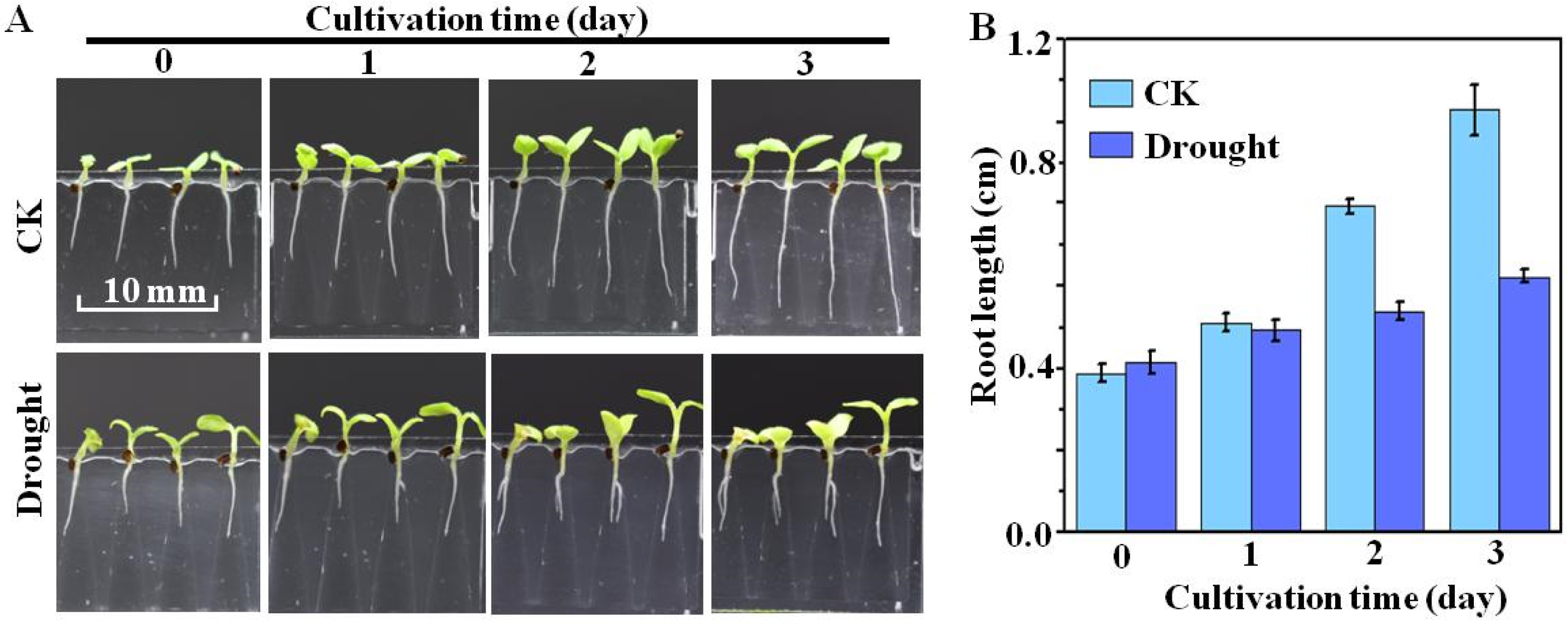 Micromachines 10 00884 g009