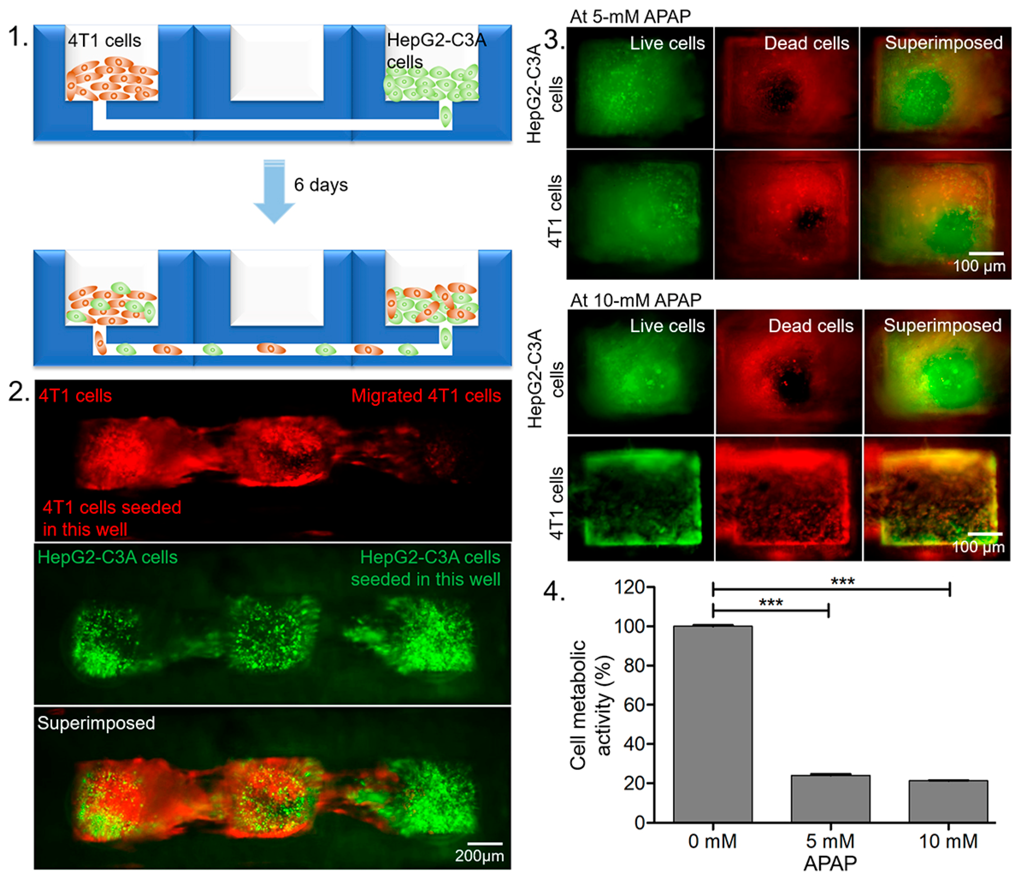 Micromachines 11 00002 g005 Micromachines 11 00002 g005
