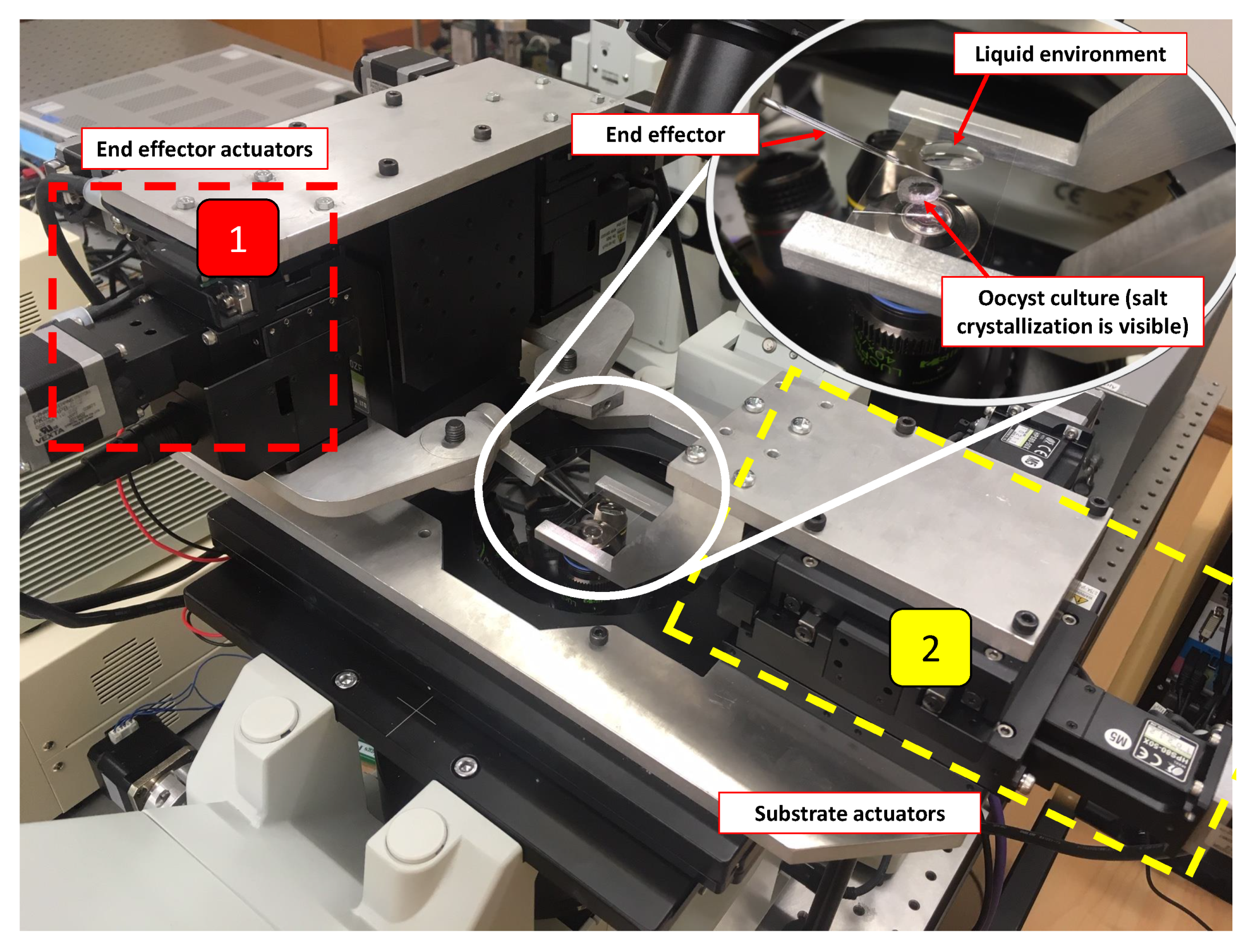 Micromachines 11 00003 g001