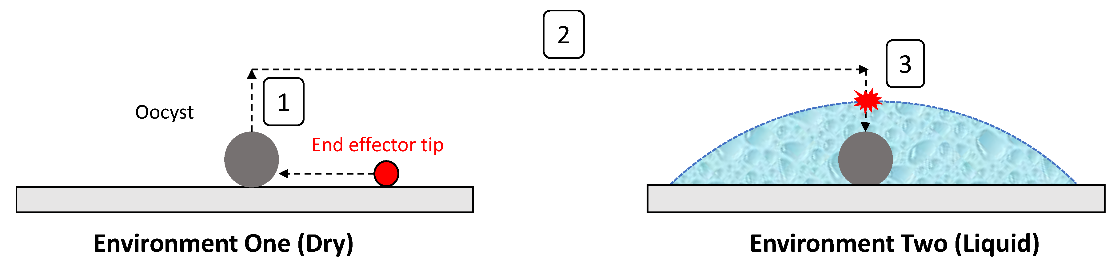 Micromachines 11 00003 g006