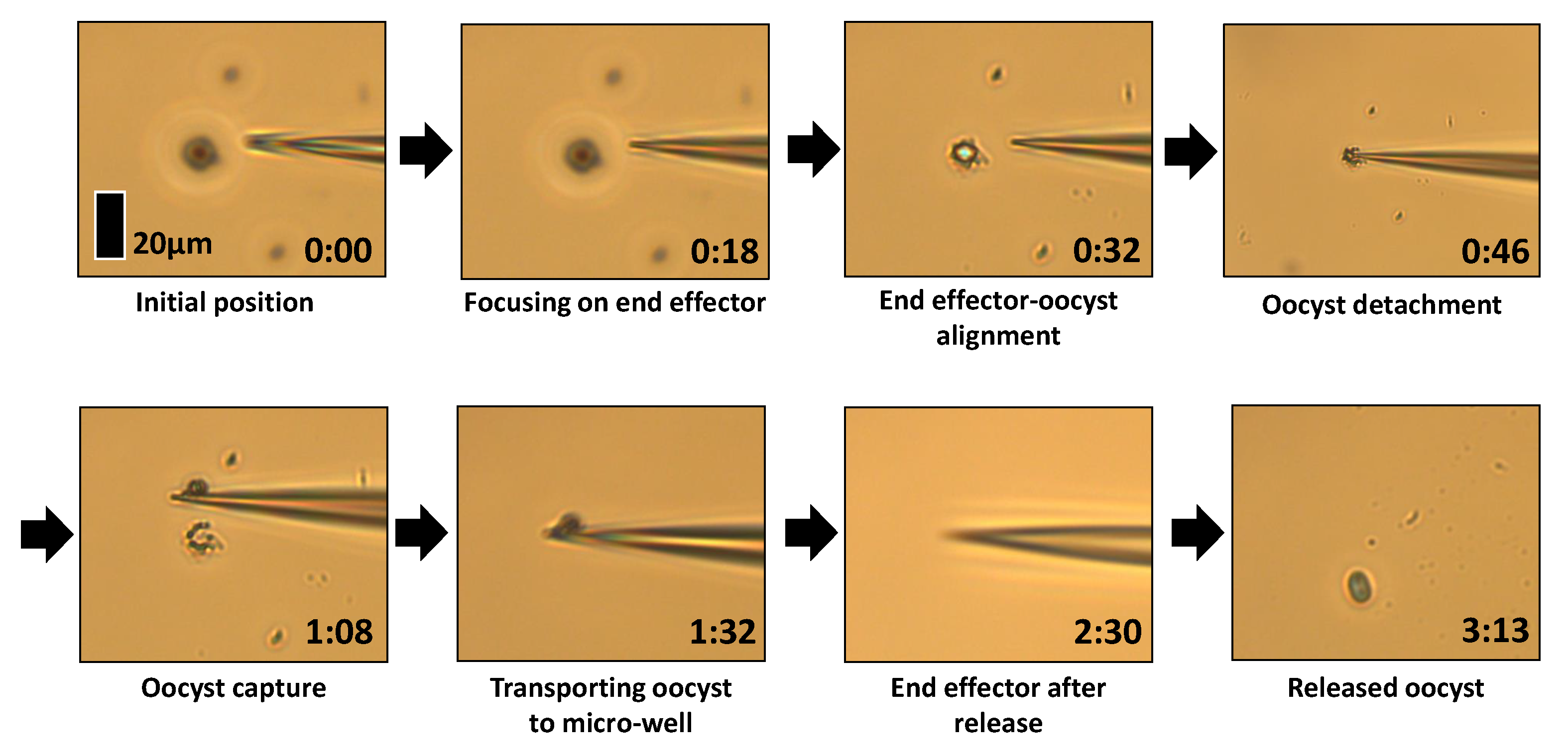 Micromachines 11 00003 g009