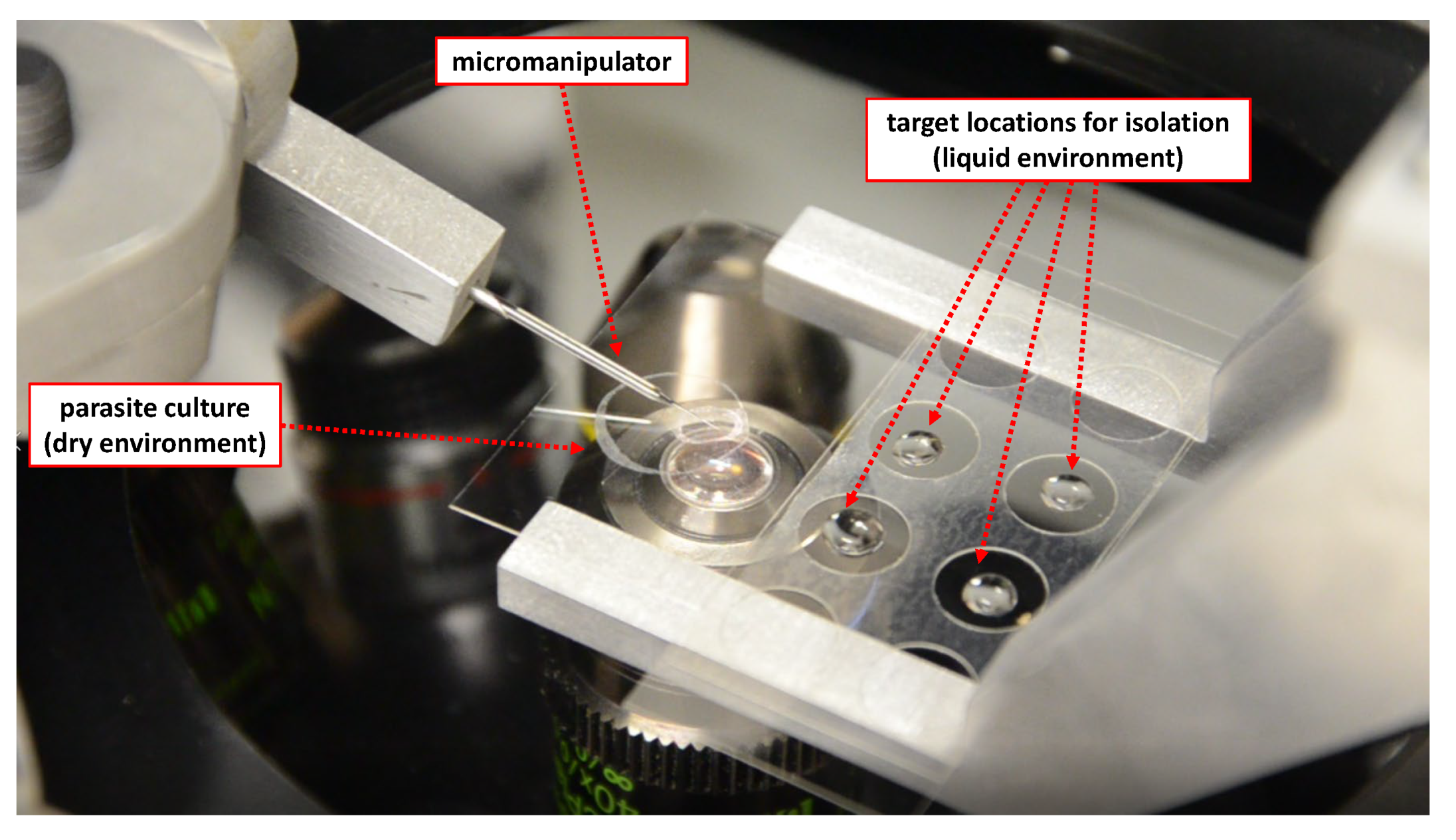 Micromachines 11 00003 g010