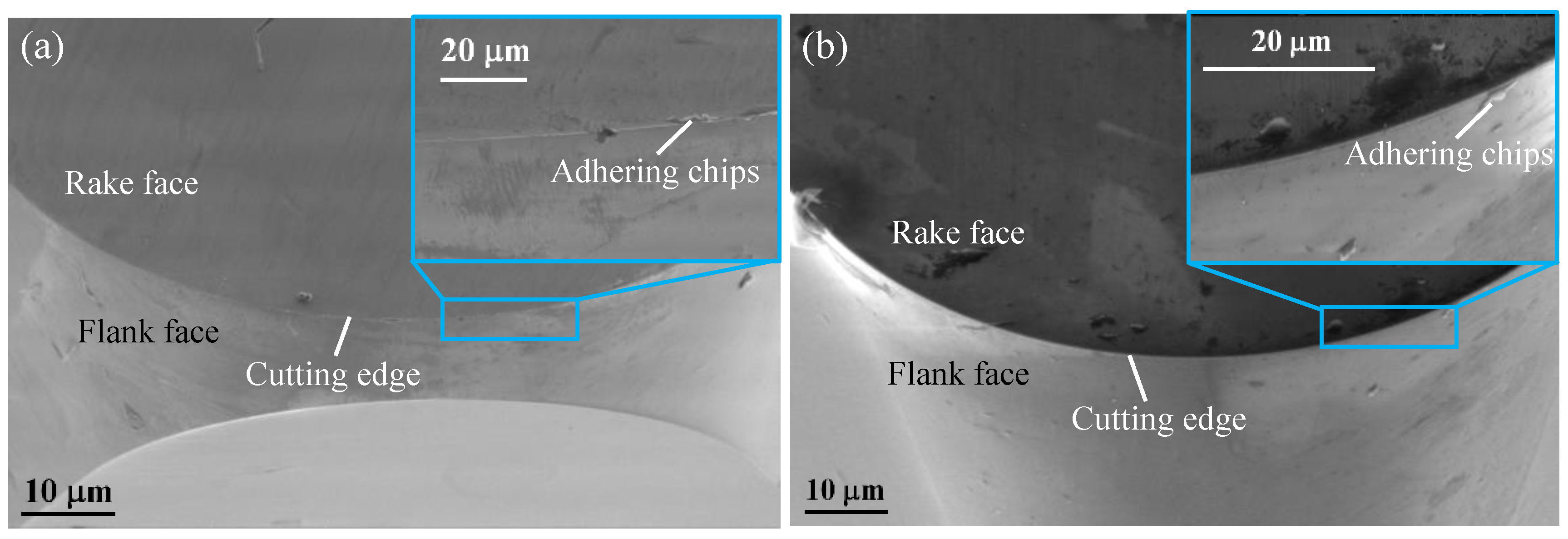 Micromachines 11 00004 g011