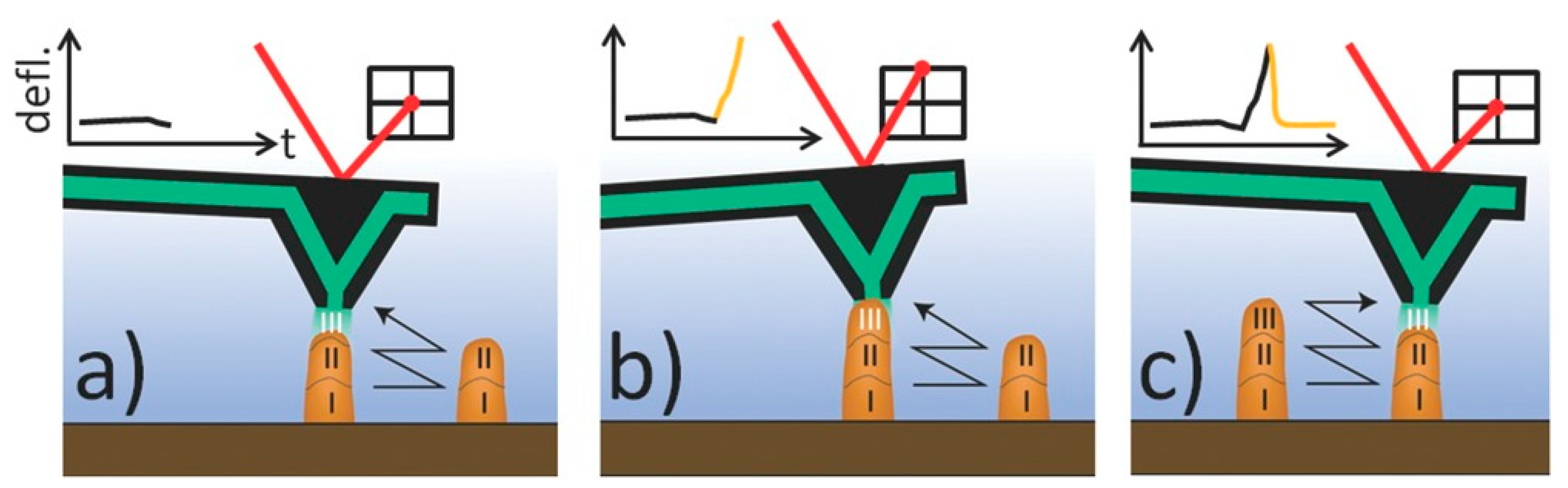 Micromachines 11 00006 g001