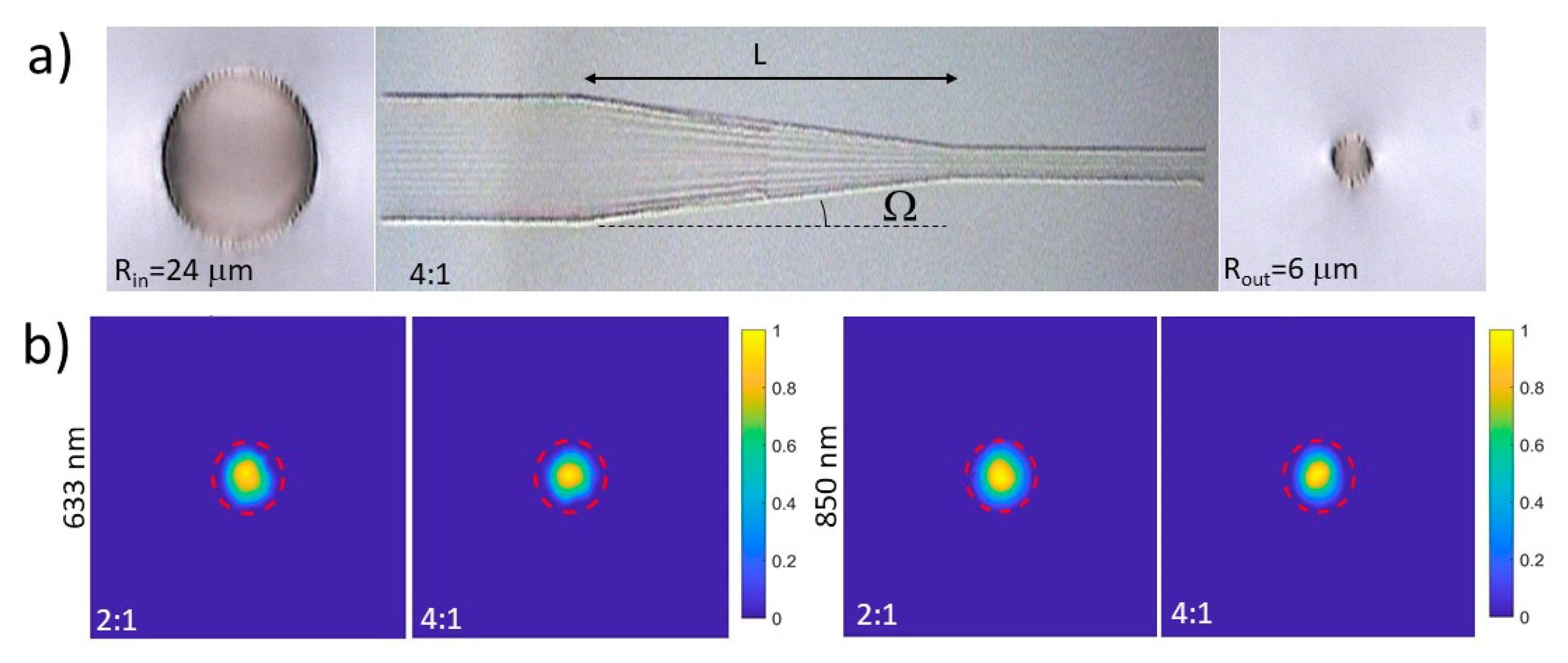 Micromachines 11 00010 g003