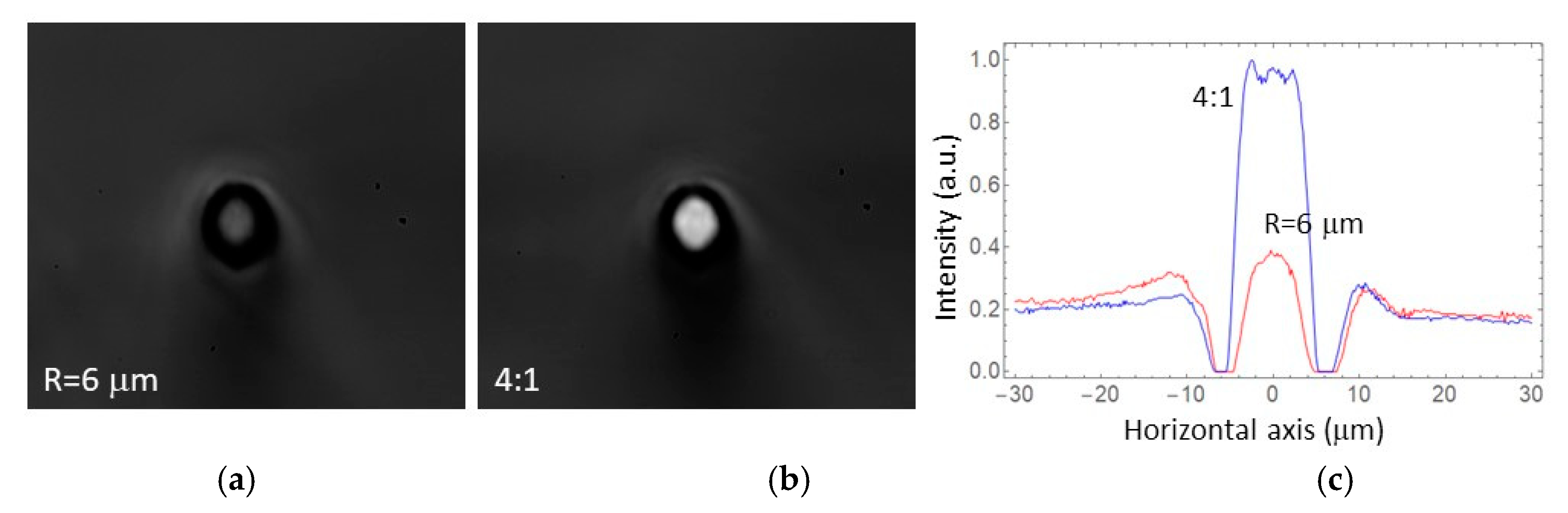 Micromachines 11 00010 g004