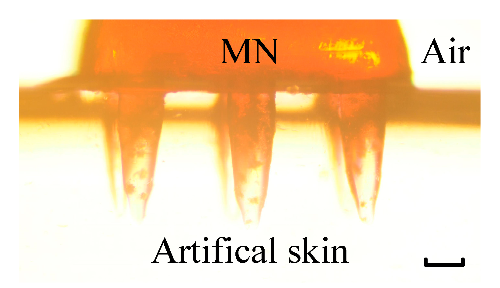 Micromachines 11 00017 g003