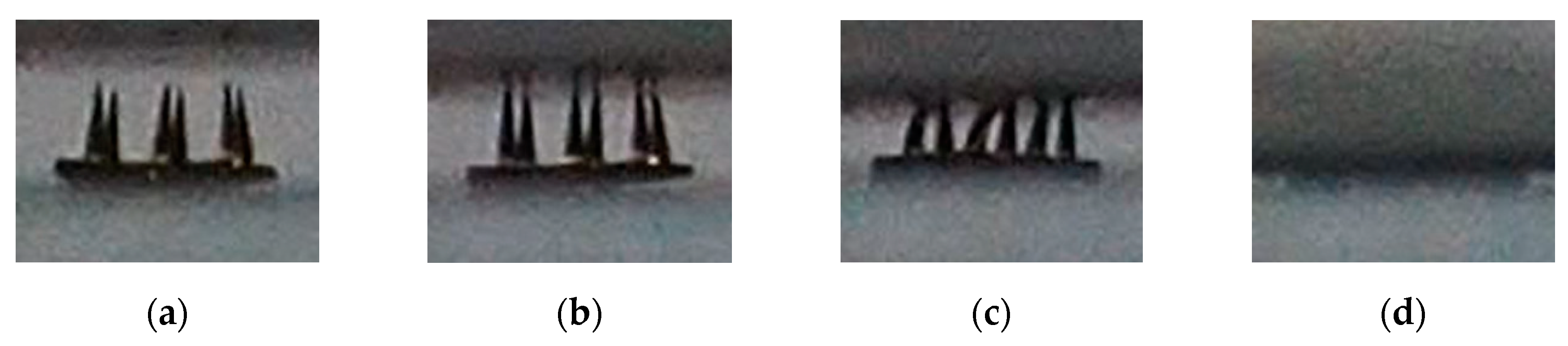 Micromachines 11 00017 g005