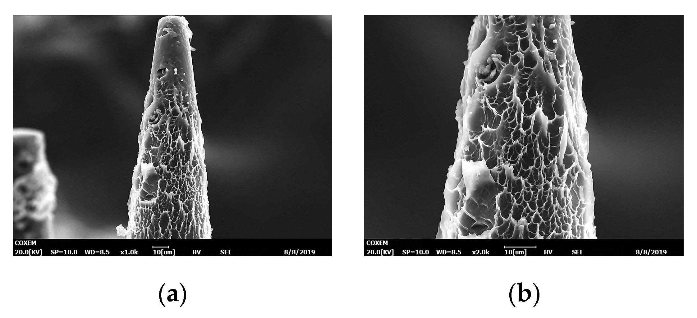 Micromachines 11 00017 g008