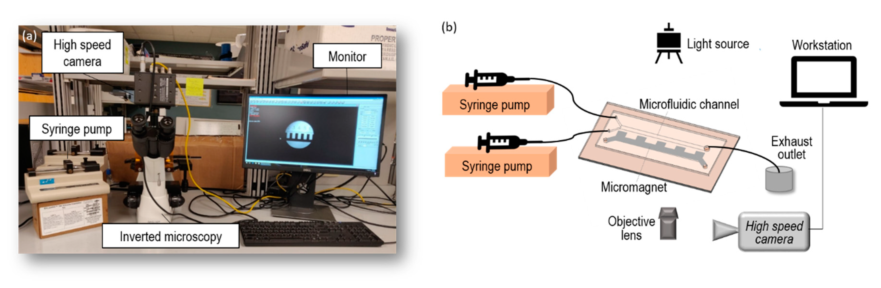 Micromachines 11 00029 g003