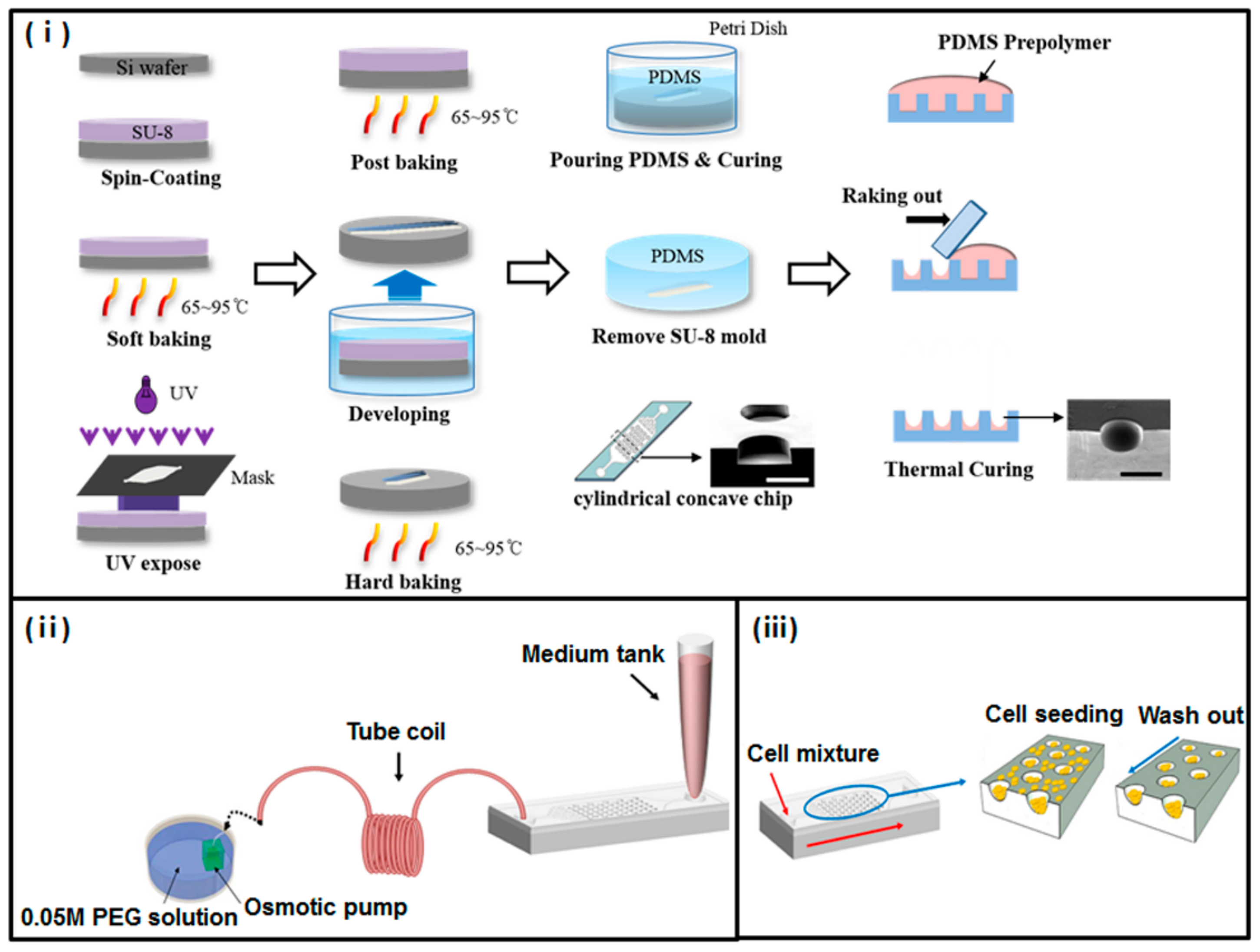 Micromachines 11 00036 g001