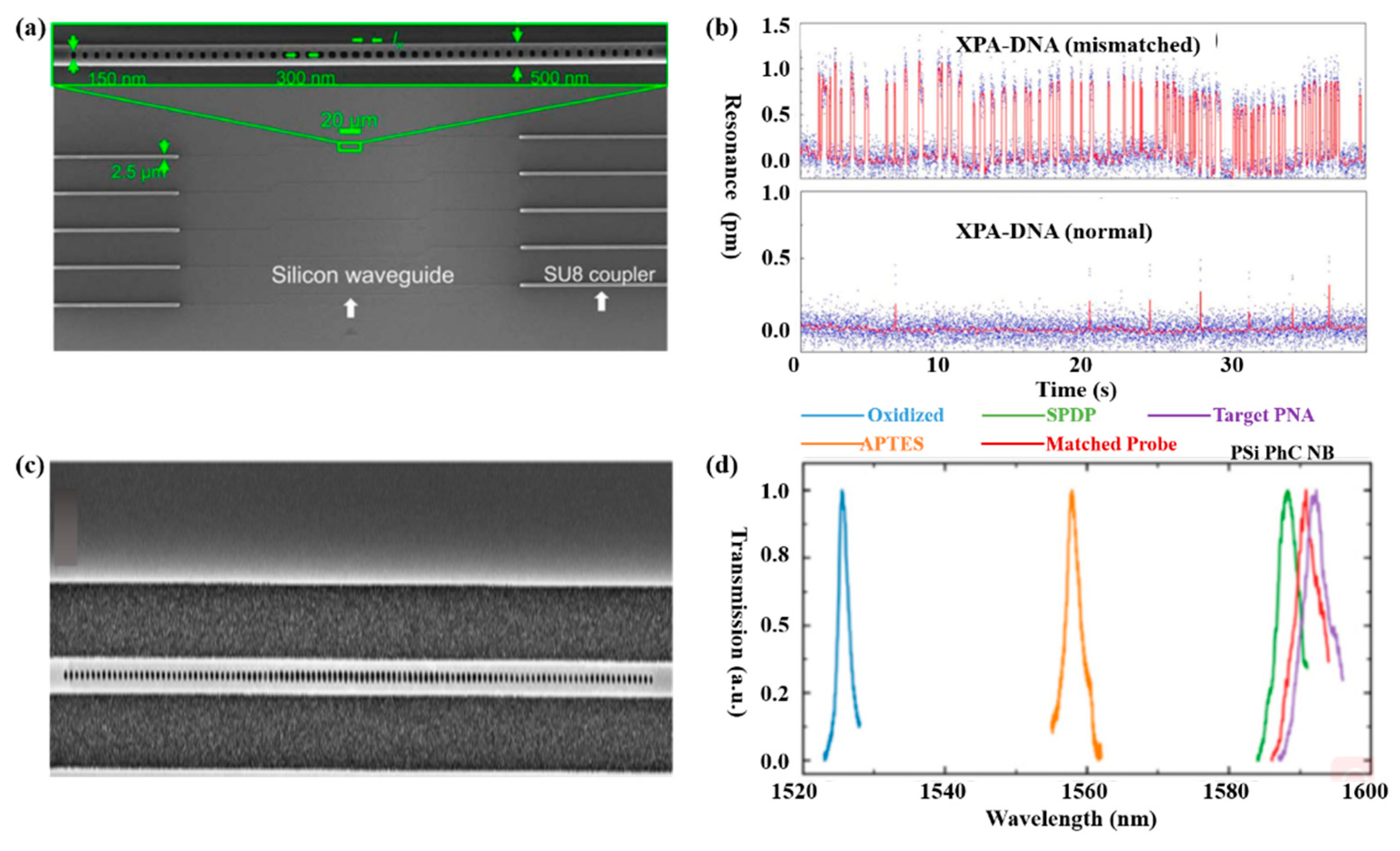 Micromachines 11 00072 g003 Micromachines 11 00072 g003