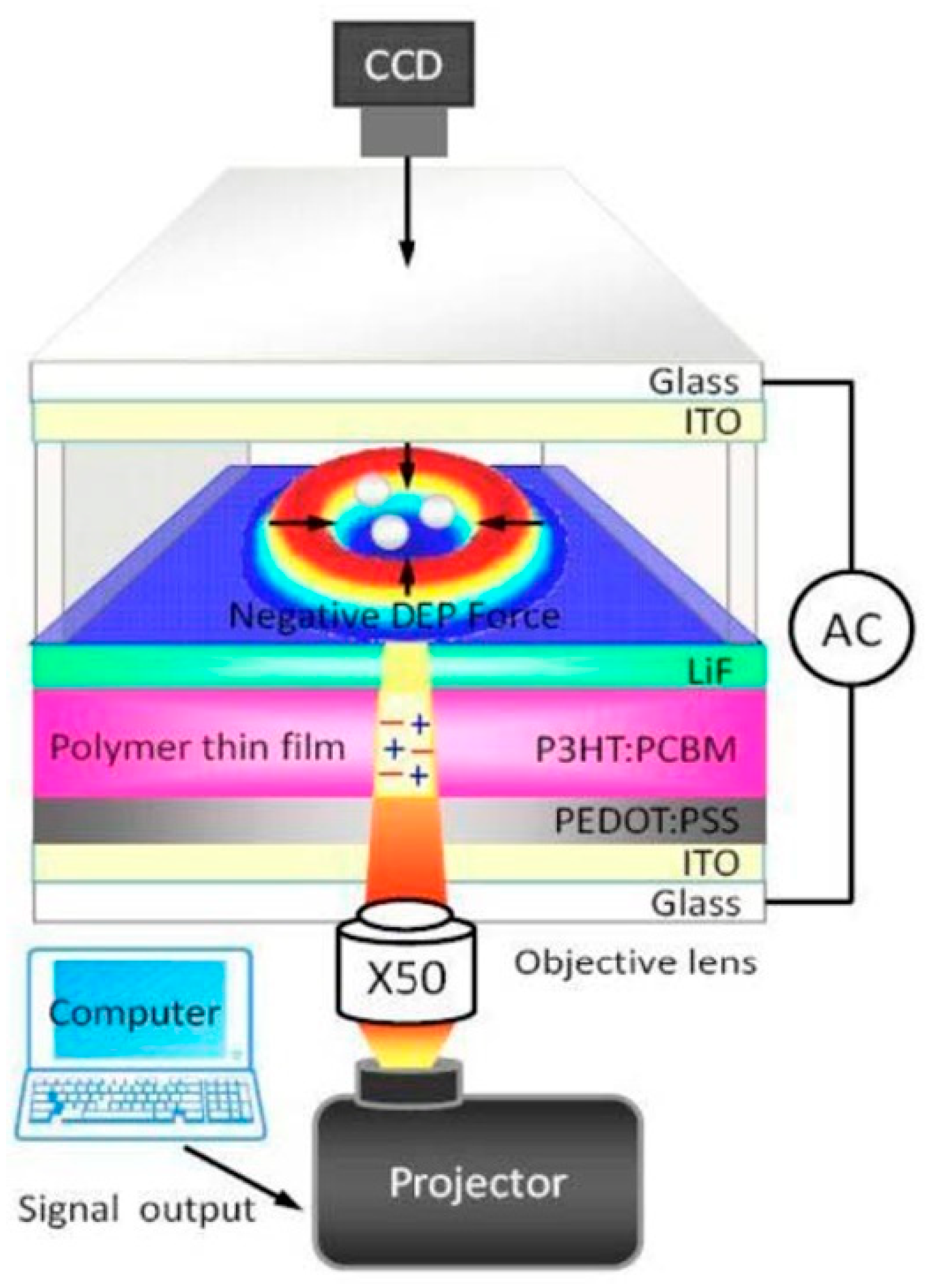 Micromachines 11 00078 g002